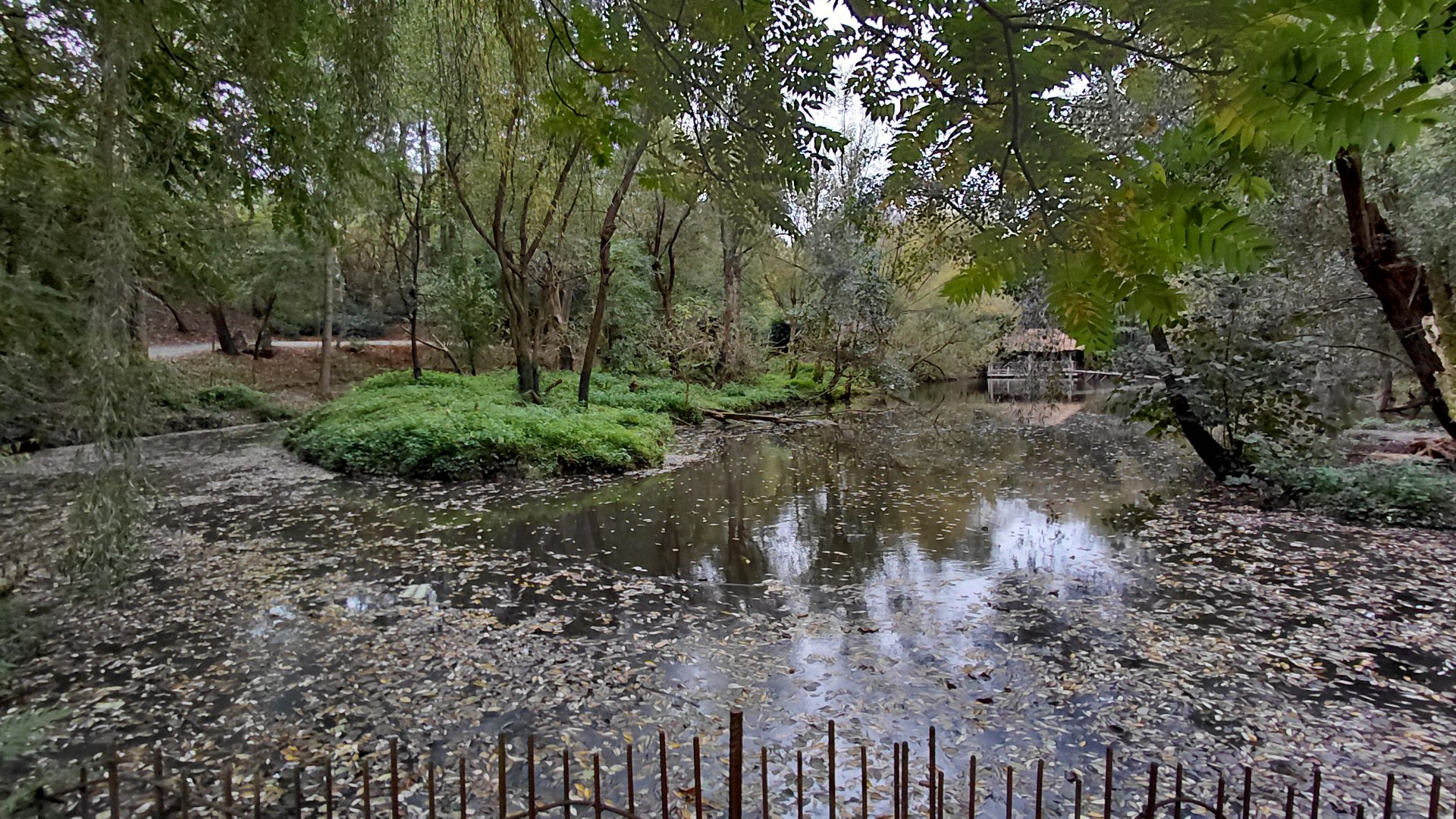 Capybara pond + wooly monkey exhibit