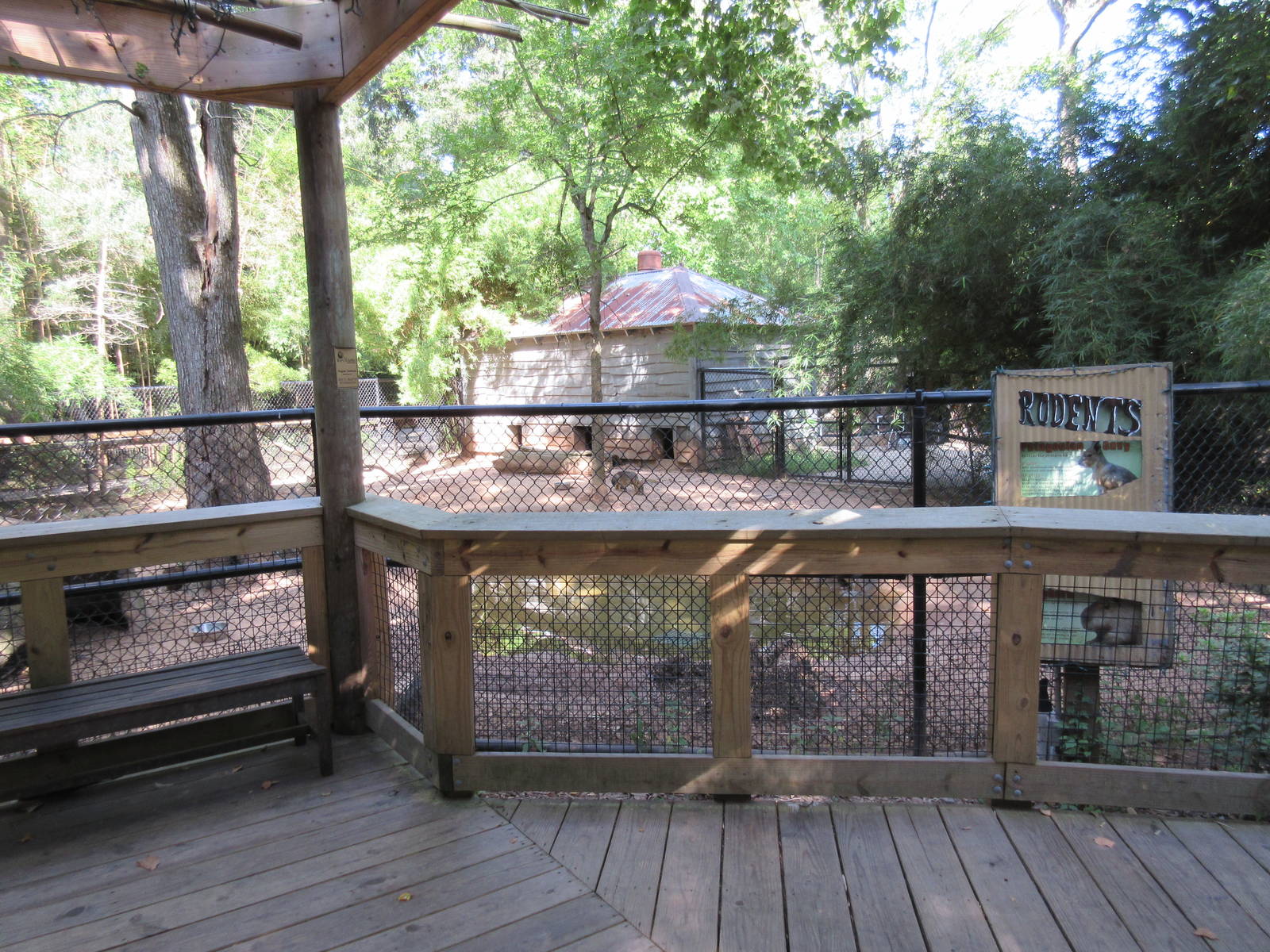 Capybara/Red Rumped Agouti/Patagonian Cavy Exhibit