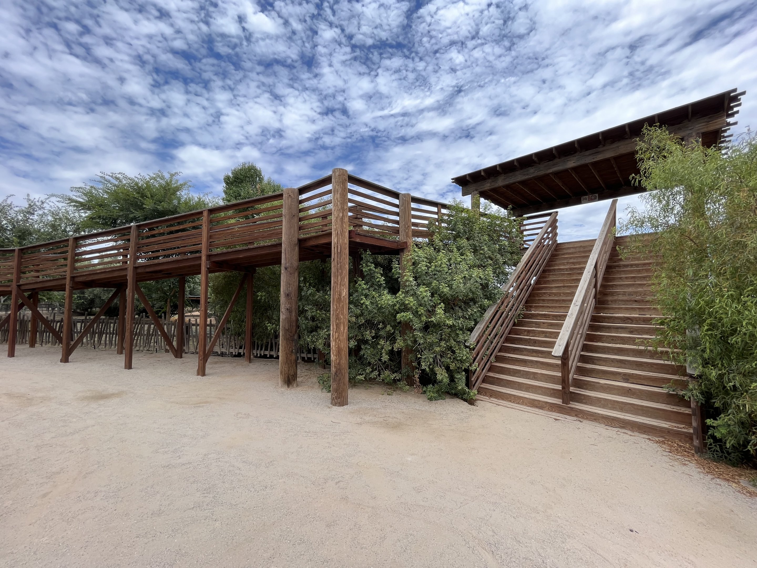 Capybara/Rhea Overlook