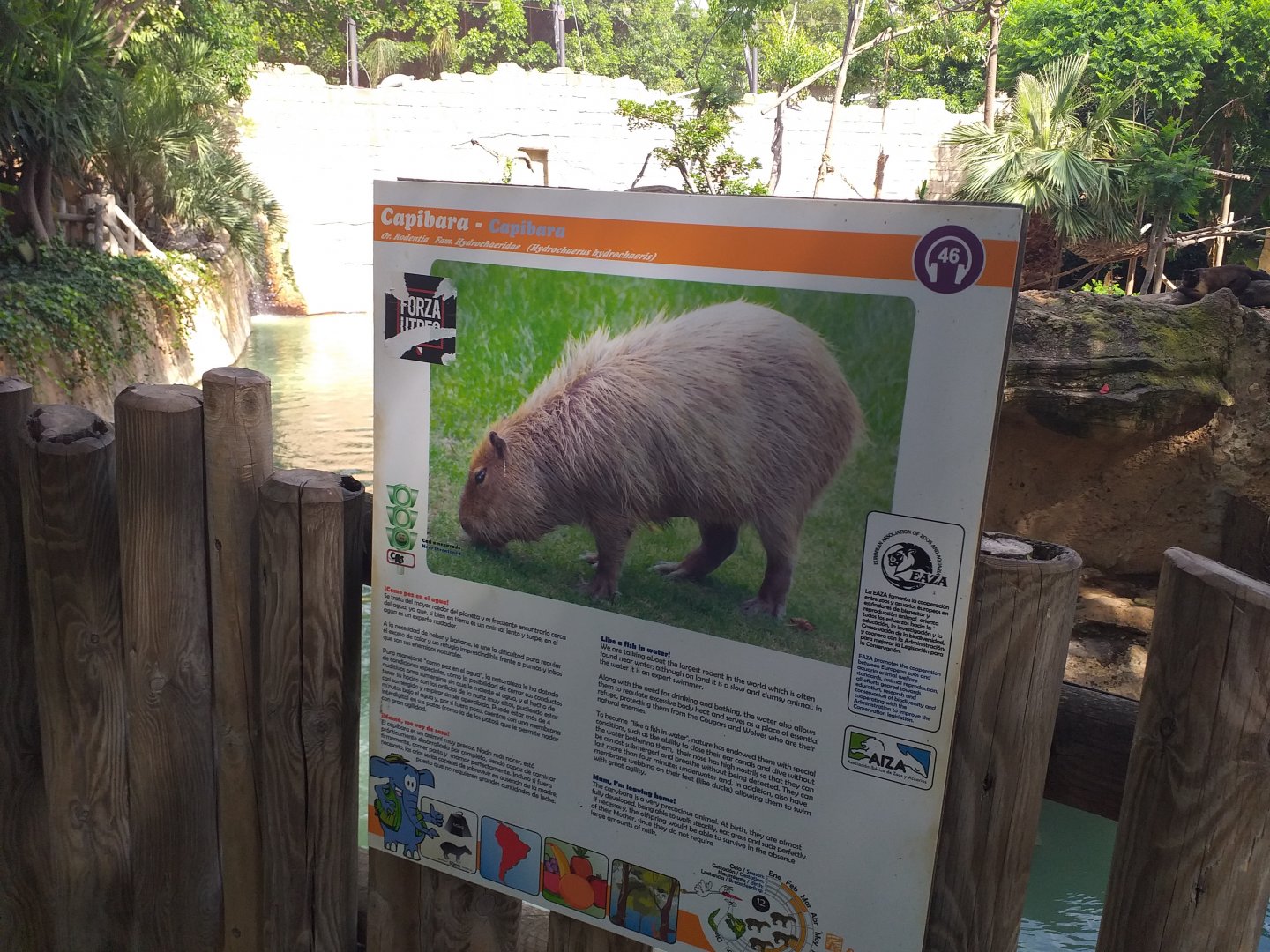 Capybara sign -TerraNatura Benidorm (2021)