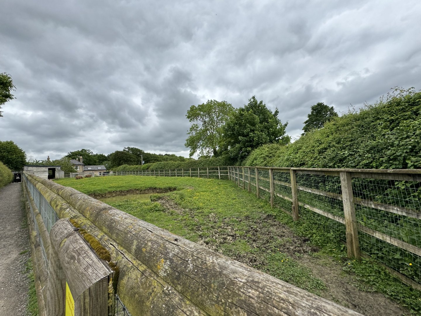 Capybara / South American Tapir Enclosure at Woodside Wildlife Park (May 2024)