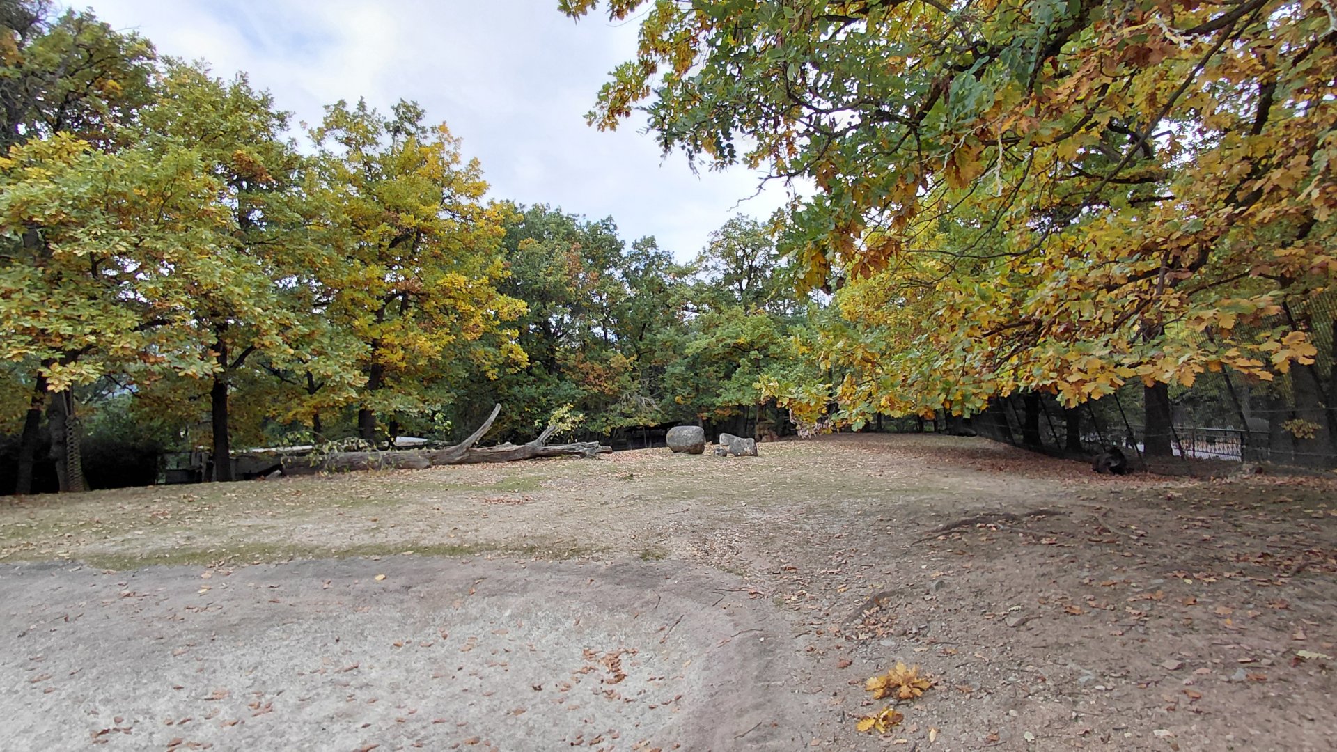 Capybara + South American tapir exhibit