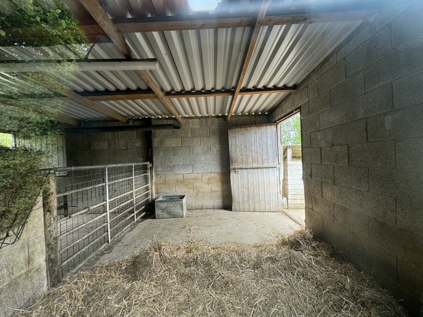 Capybara / Tapir House at Woodside Wildlife Park (May 2024)