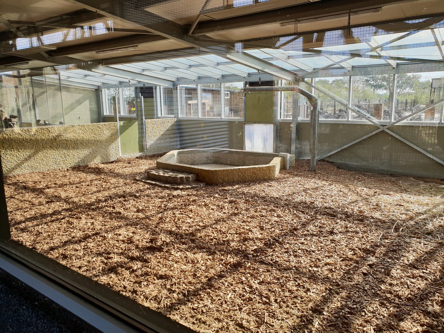 Capybara - Tapir indoor enclosure