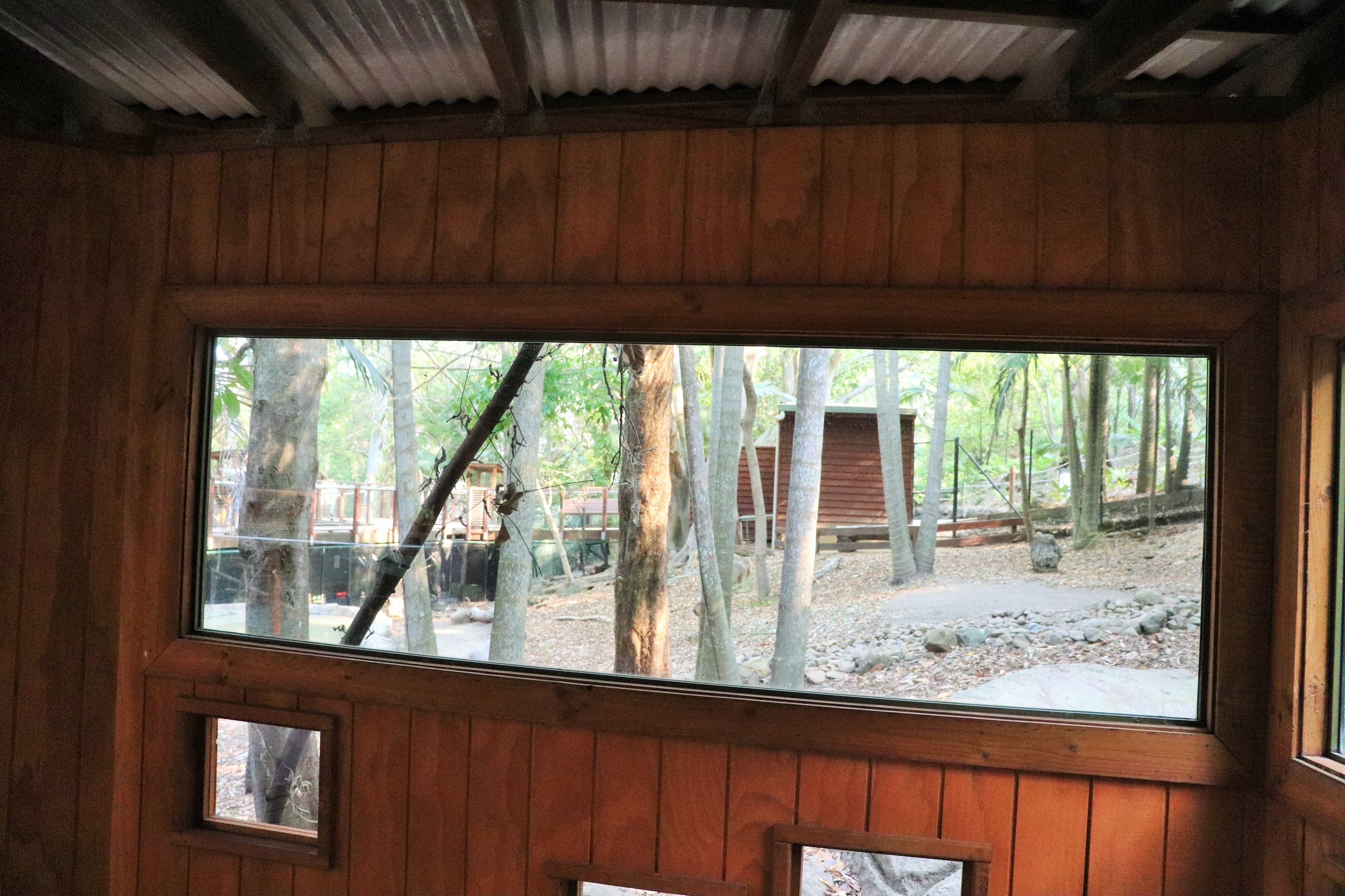 Capybara Viewing Window