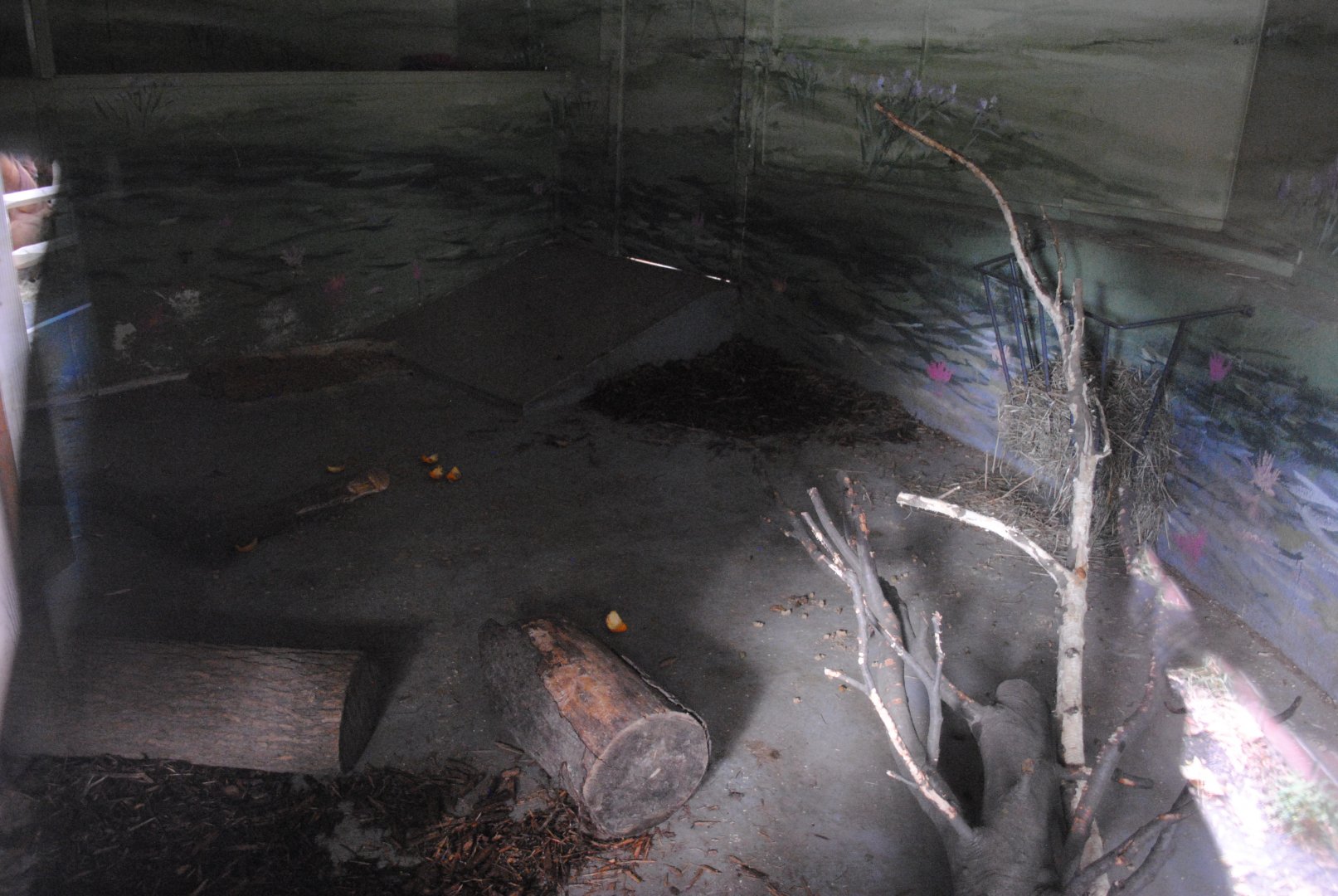 Capybaras' Indoor Holding