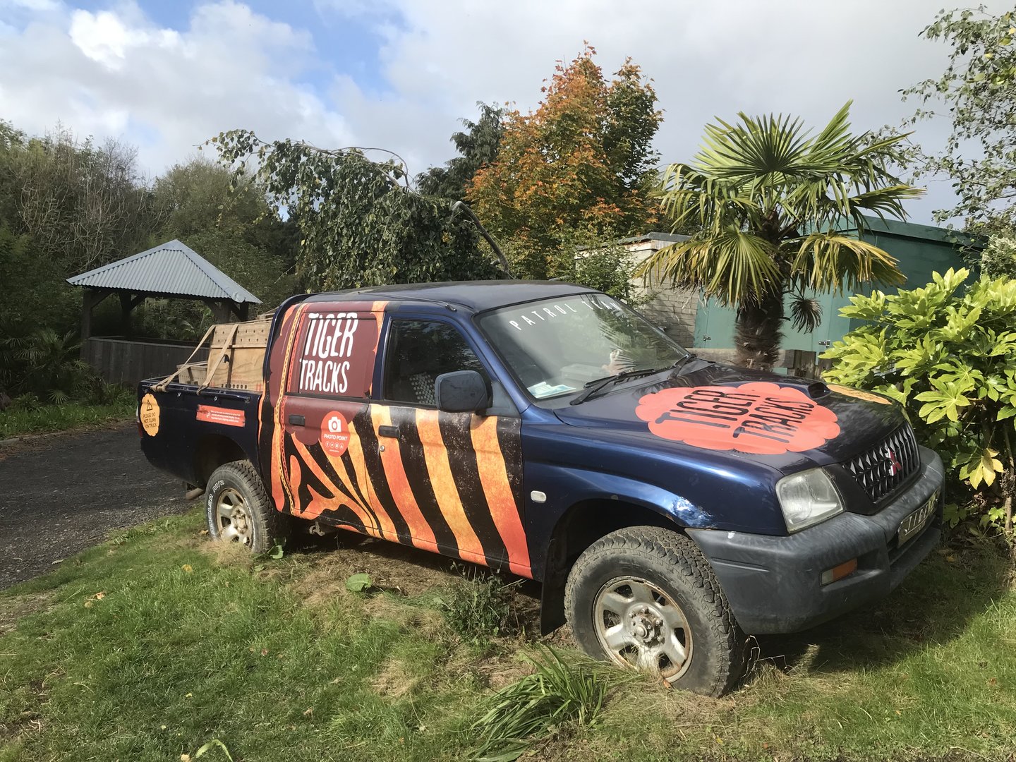 Car decoration in tiger tracks