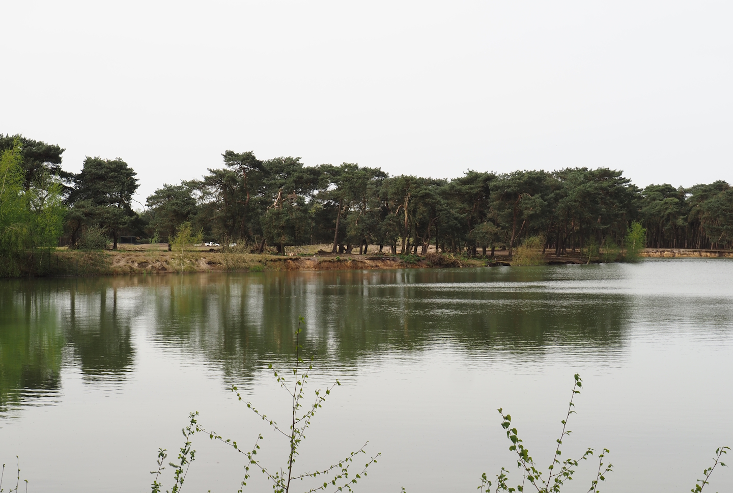 Car safari Asian plains exhibit, seen from walking safari across safari boat canal, 2024-04-06