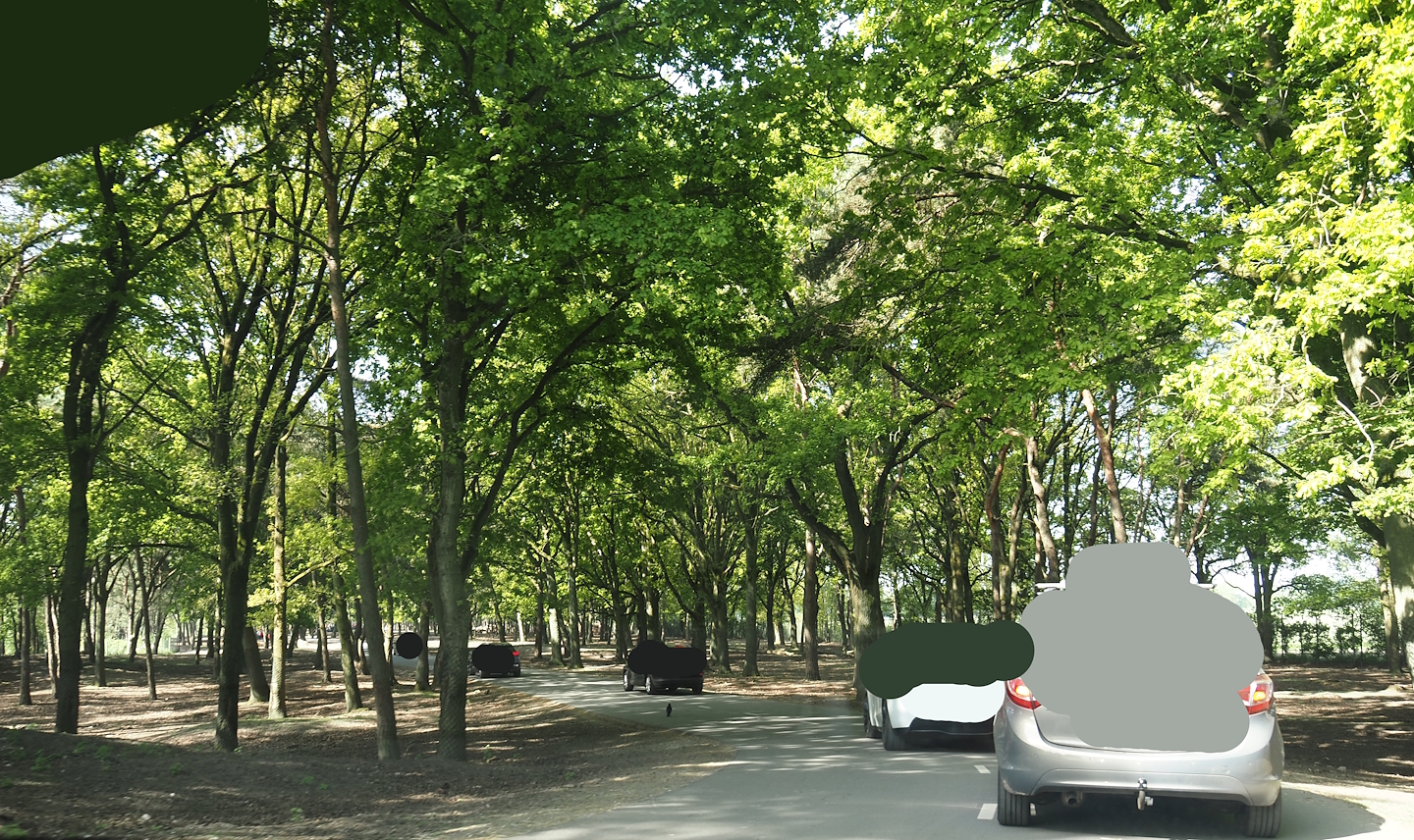 Car safari - European forest, 2025-04-30