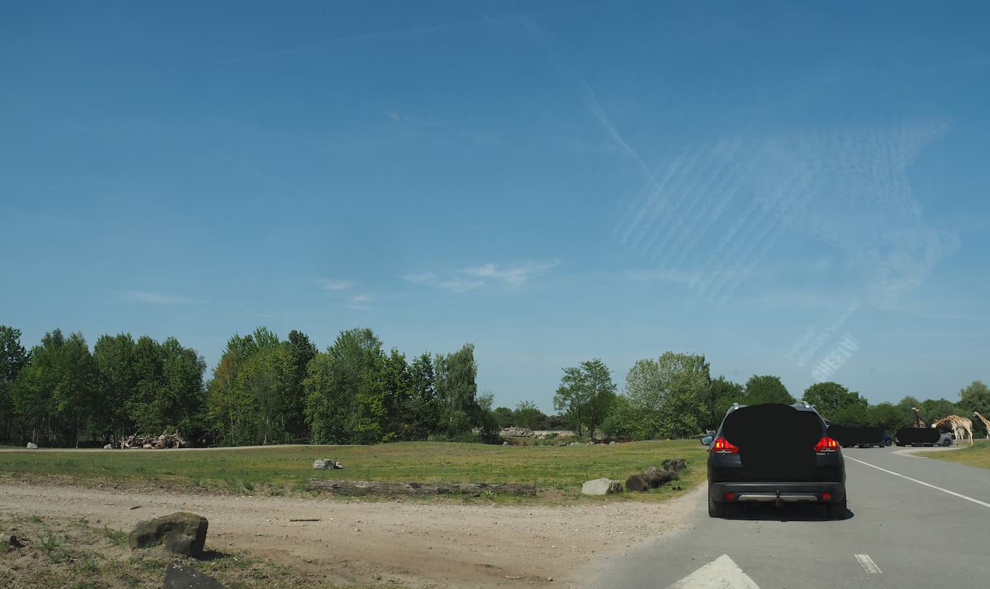 Car safari - Giraffe plains, 2025-04-30