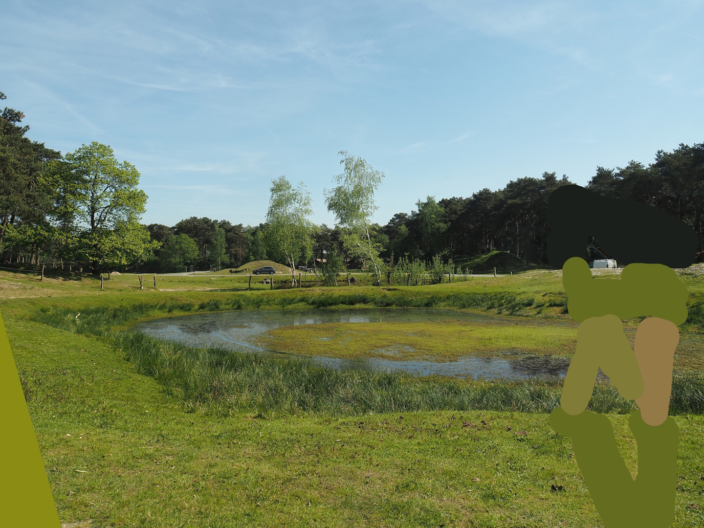 Car safari - Oasis in desert exhibit, 2025-04-30