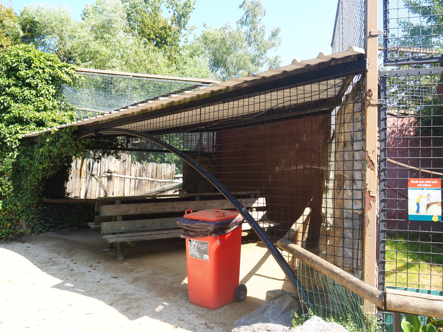 Caracal and Black-and-white ruffed lemur viewing area, 2019-08-04