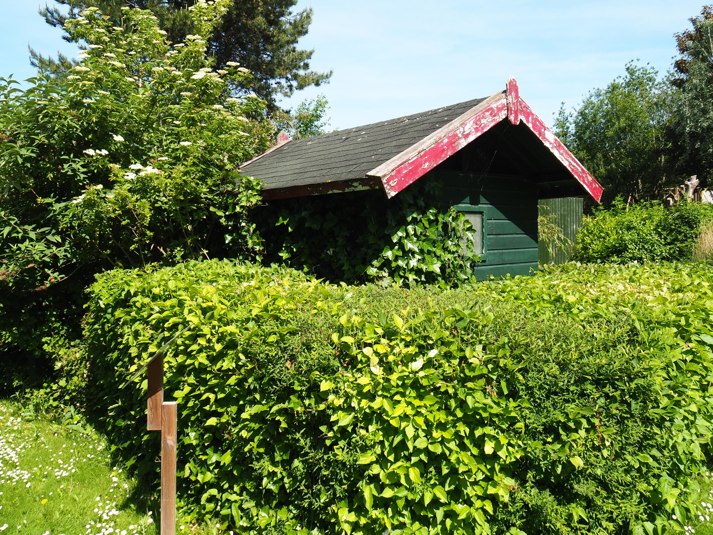 Caracal barn, 2019-06-01