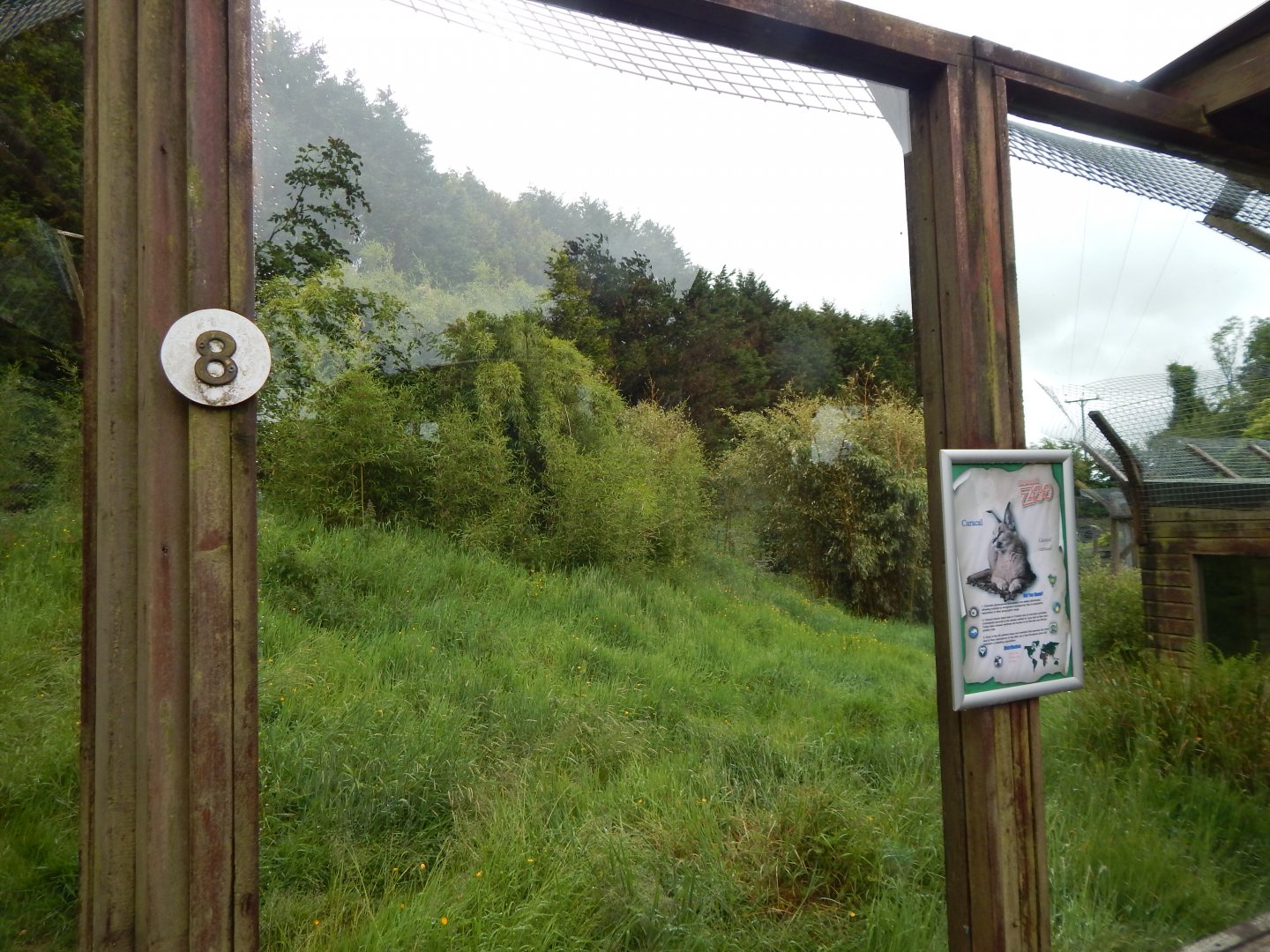 Caracal enclosure 050625