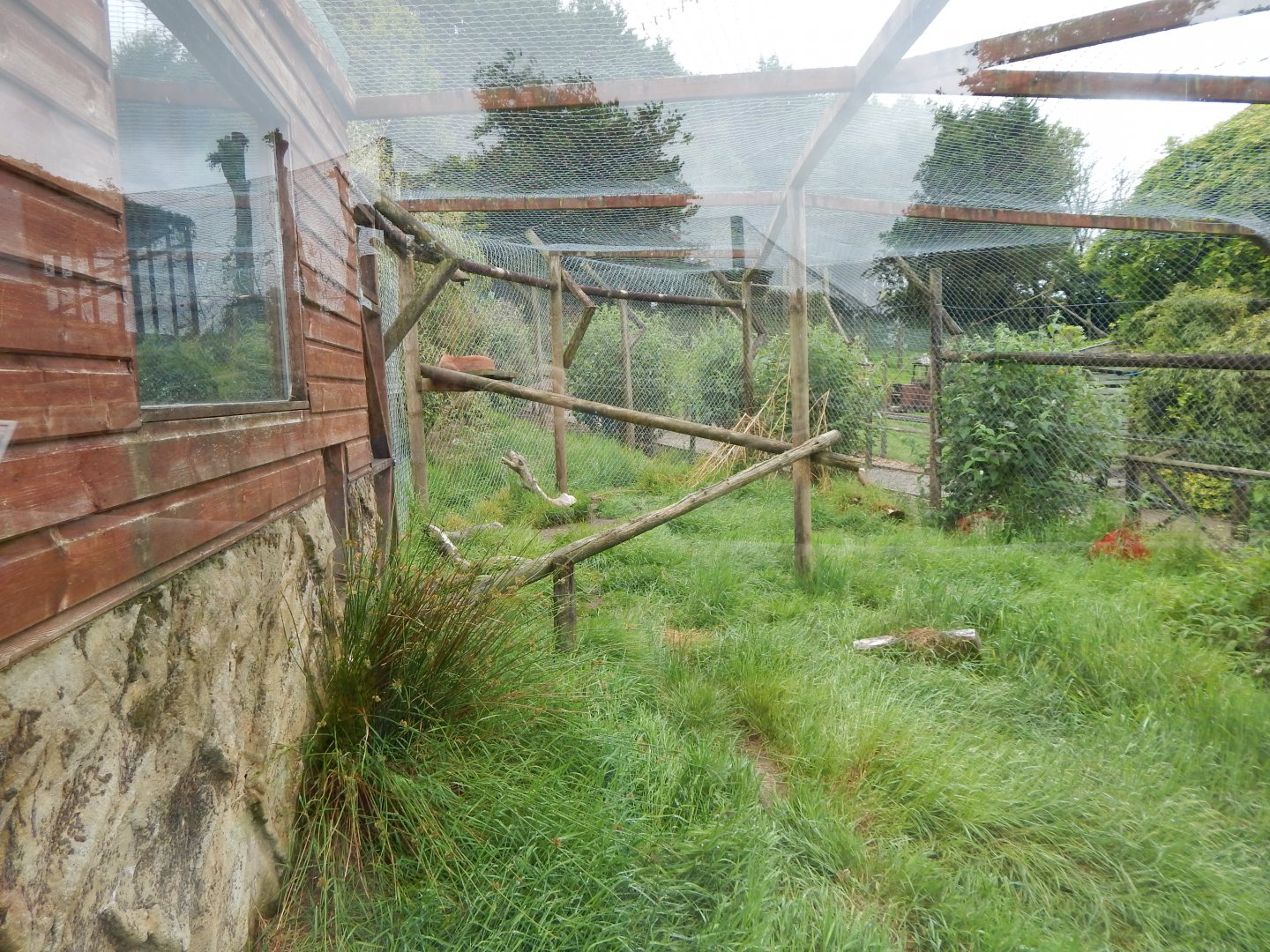 Caracal enclosure 050625