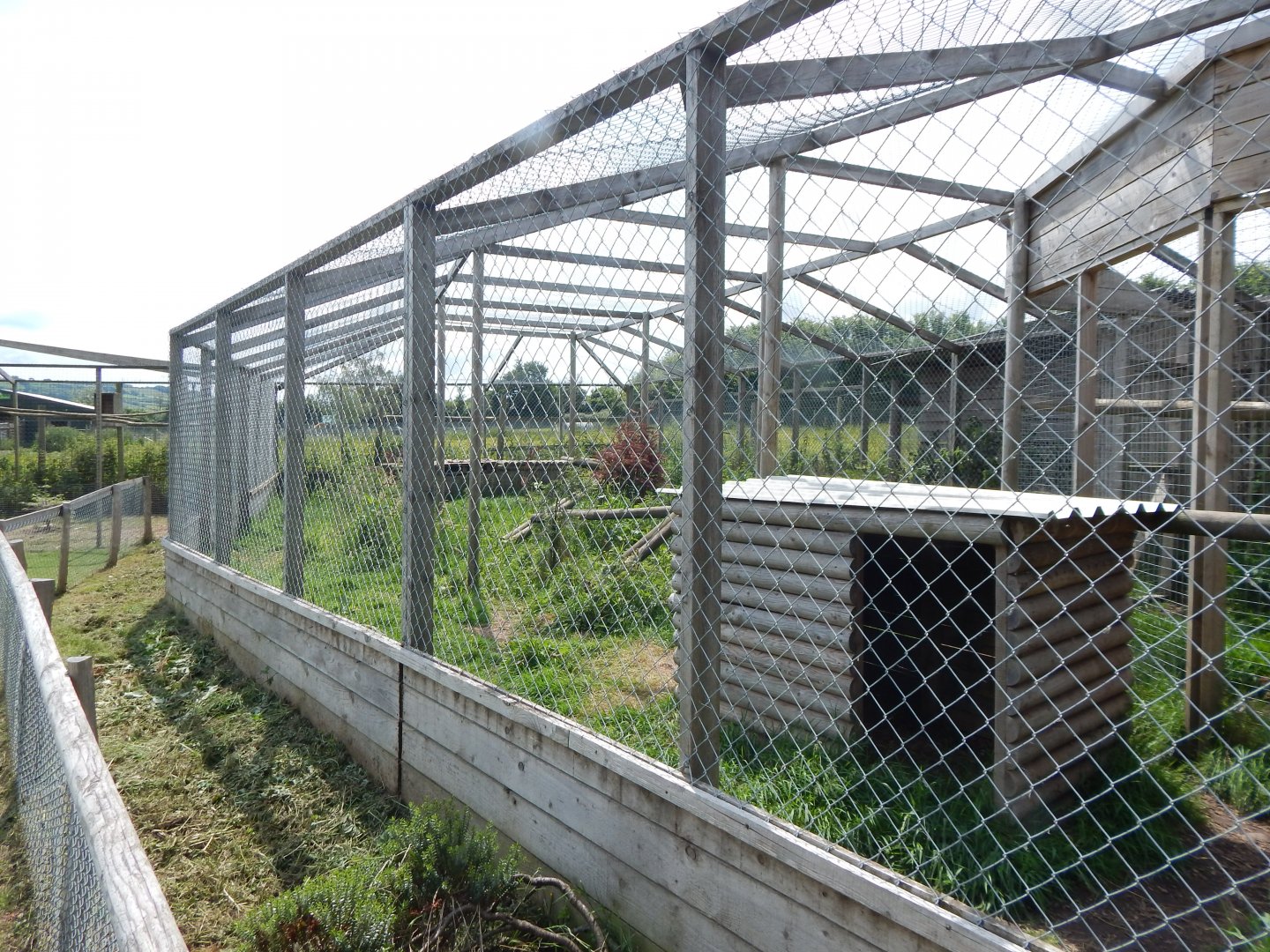 Caracal enclosure 060625