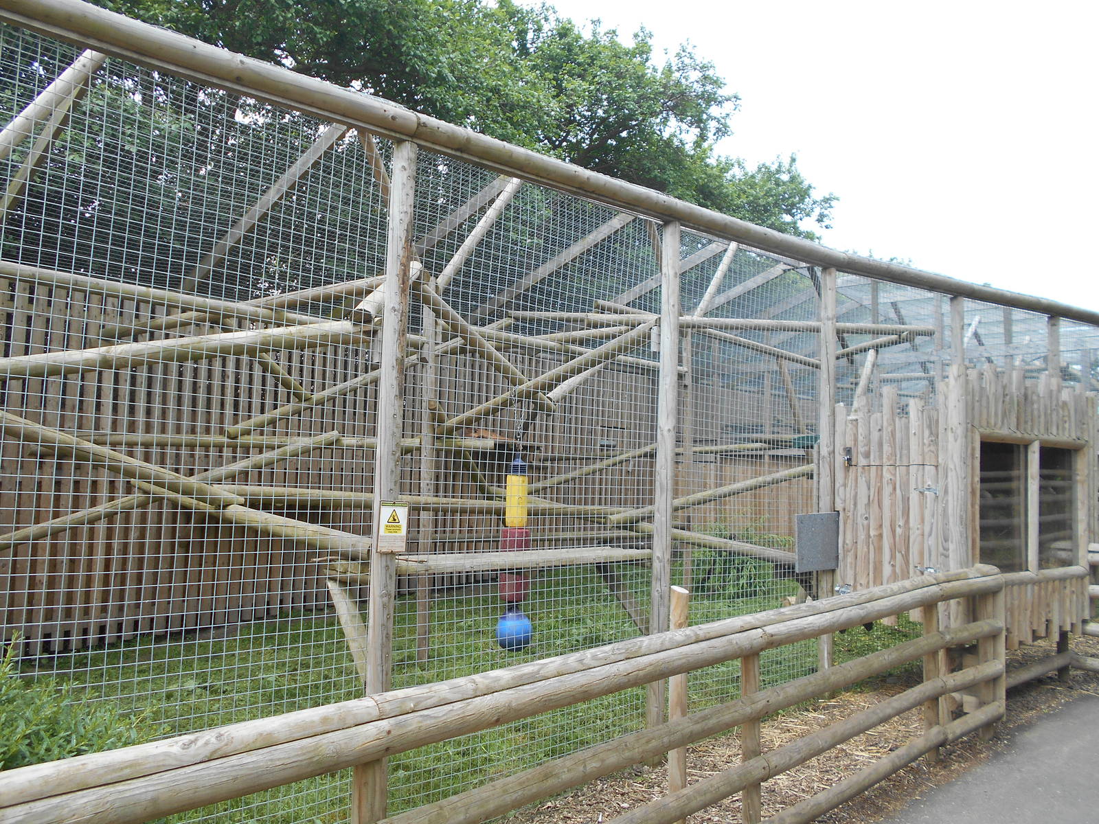 Caracal enclosure - 10/06/2016