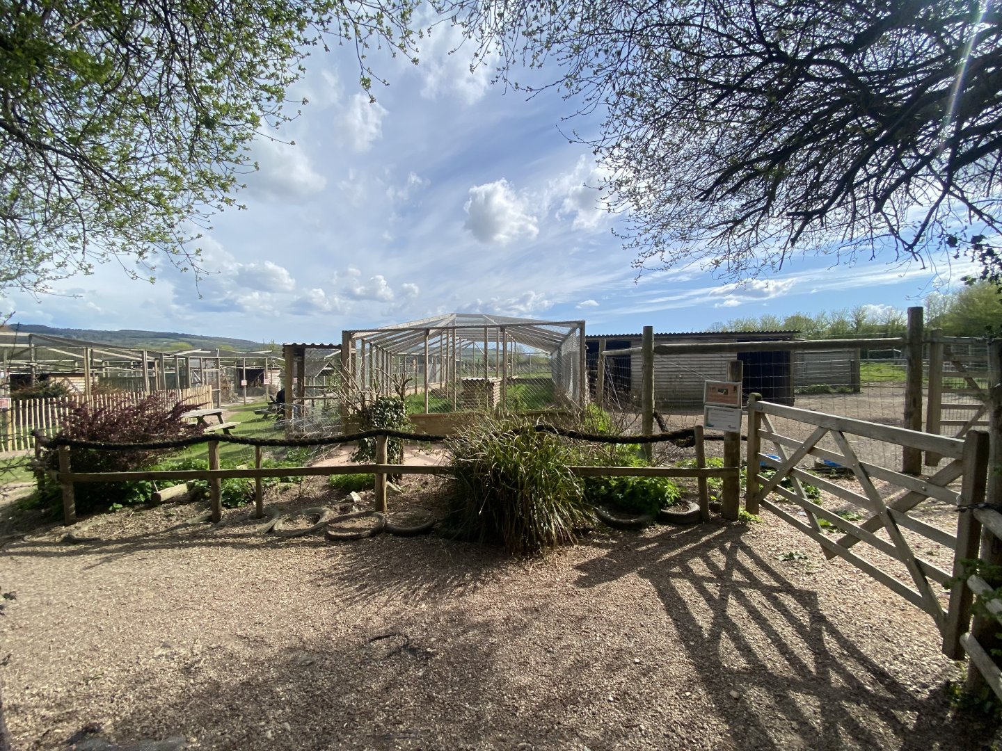 Caracal enclosure 190422