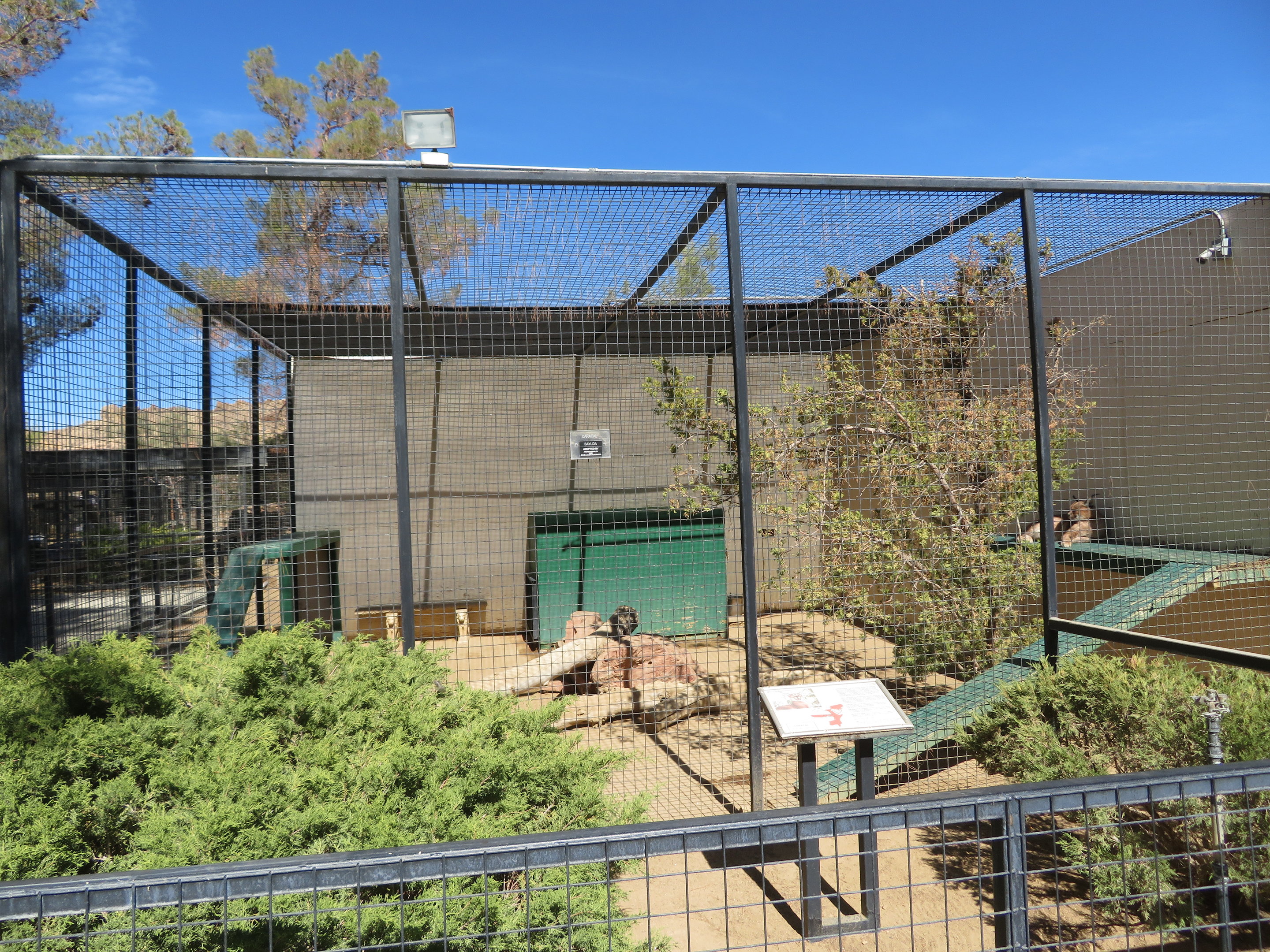 Caracal Enclosure (2022)