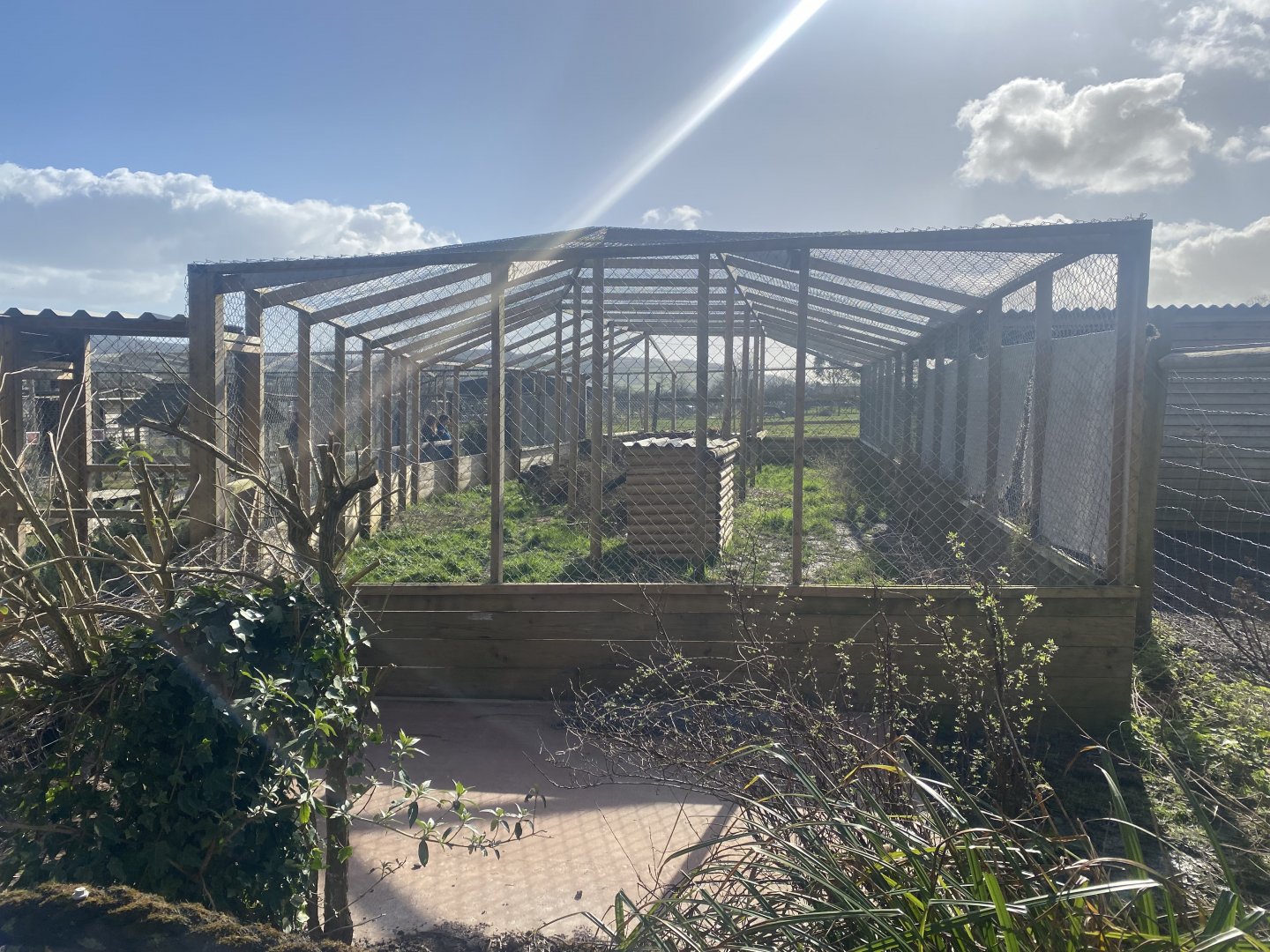 Caracal enclosure 250222