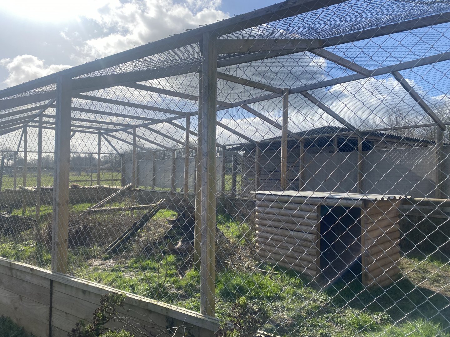 Caracal enclosure 250222