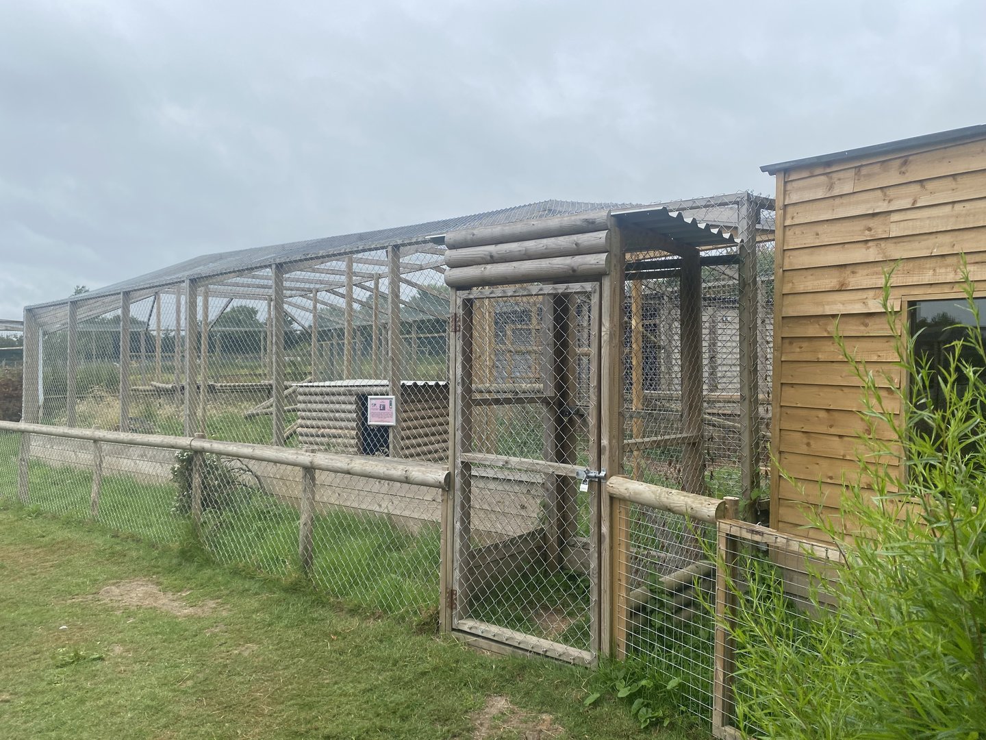 Caracal enclosure 300623