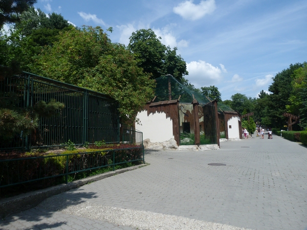 Caracal enclosure and big cats row