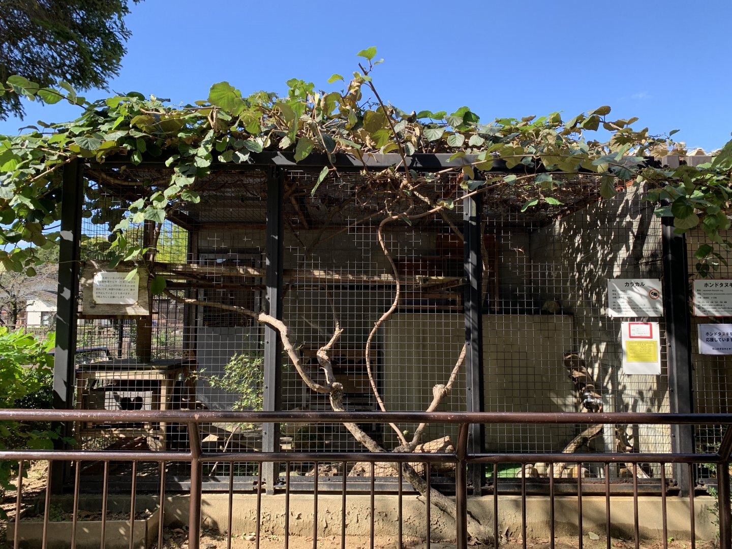 Caracal Enclosure (Himeji City Zoo)