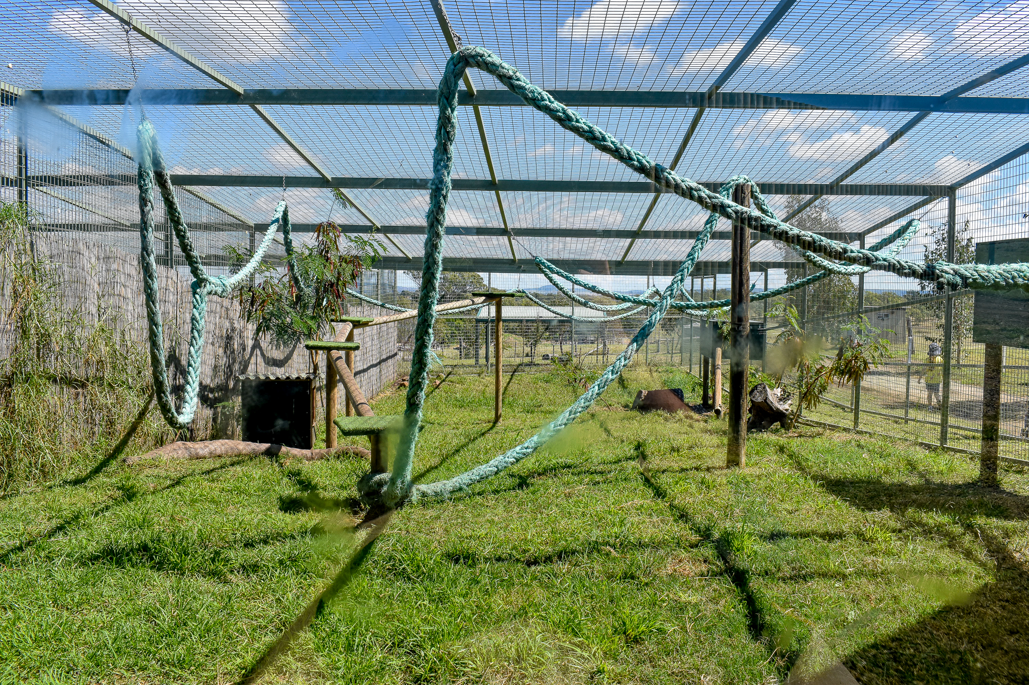 Caracal Enclosure