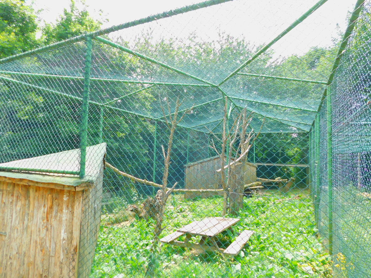 Caracal Enclosure
