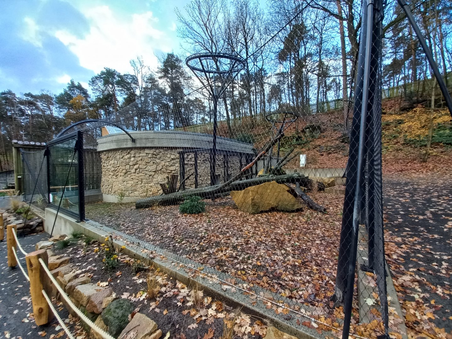 Caracal enclosure