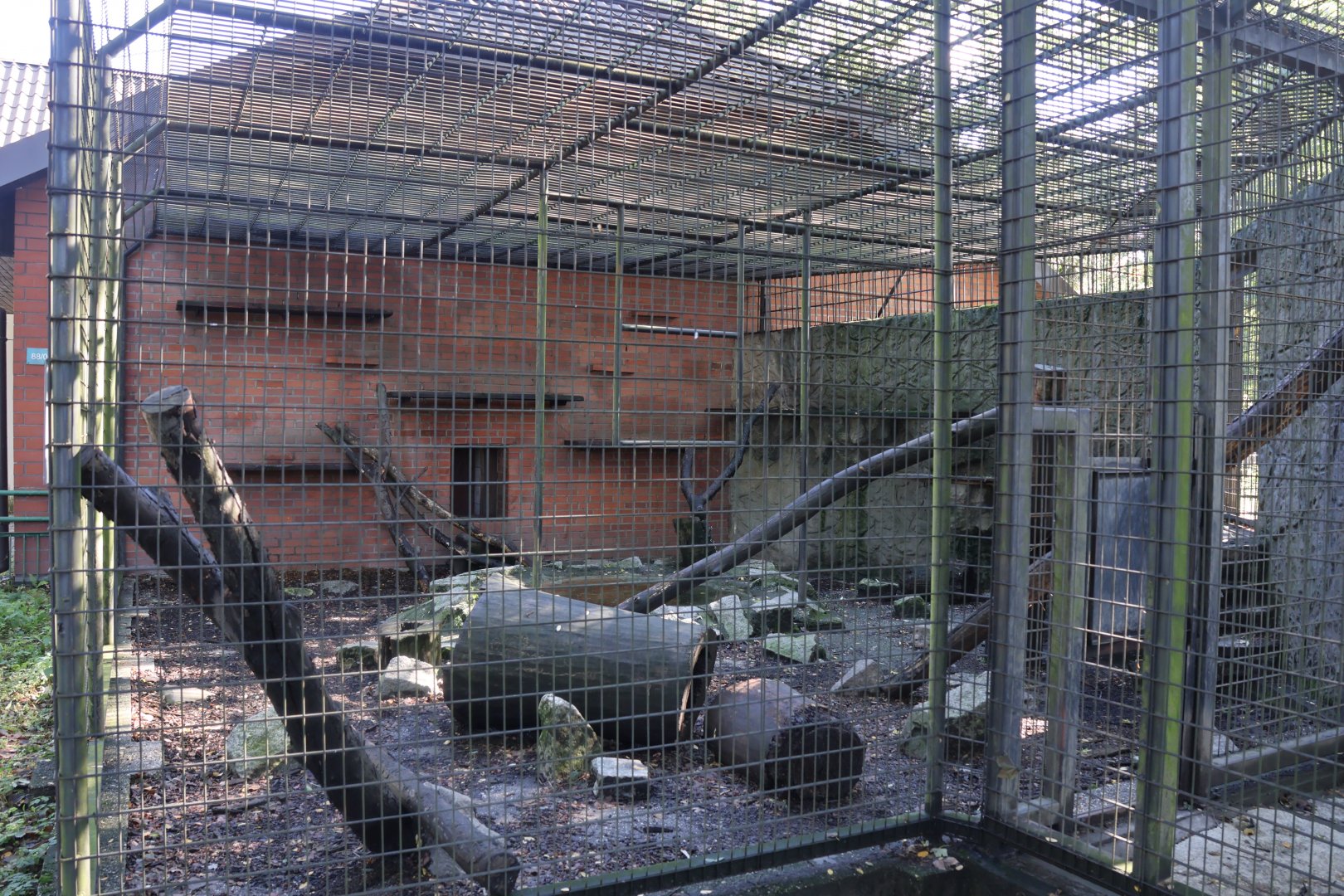 Caracal enclosure