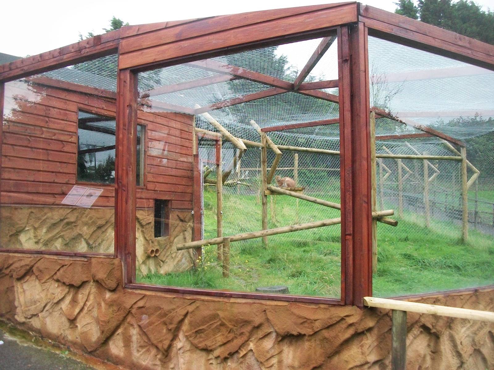 Caracal exhibit 12th September 2012