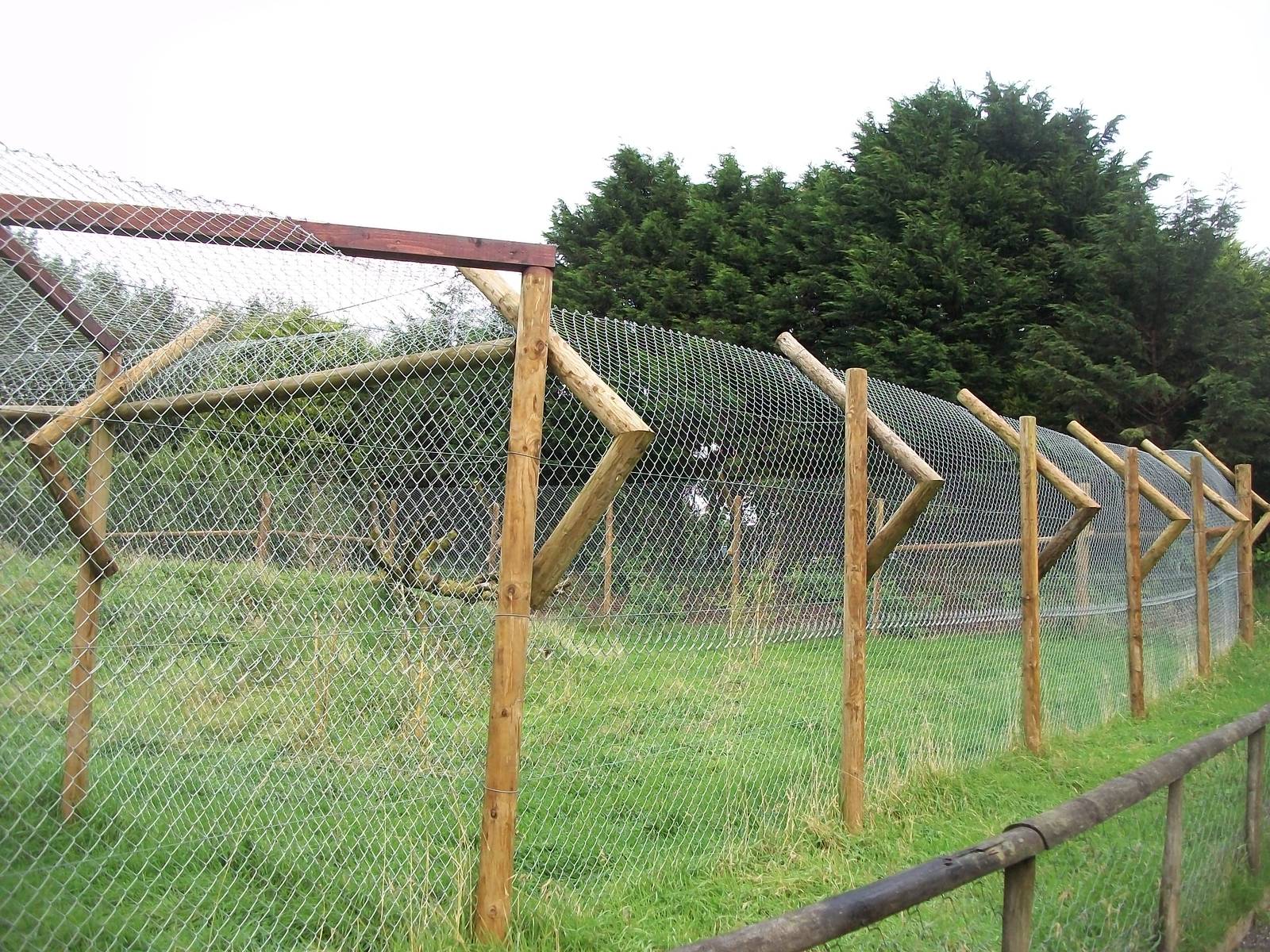 Caracal exhibit 12th September 2012