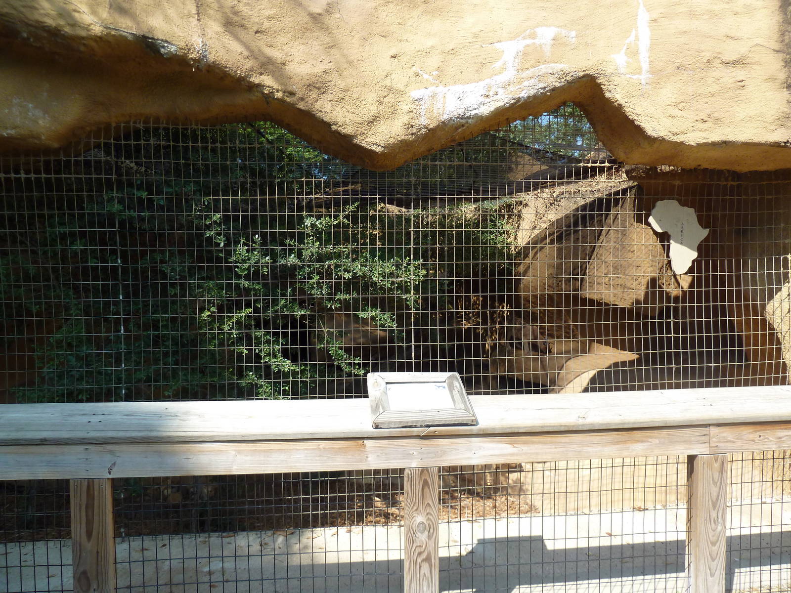 Caracal Exhibit #2