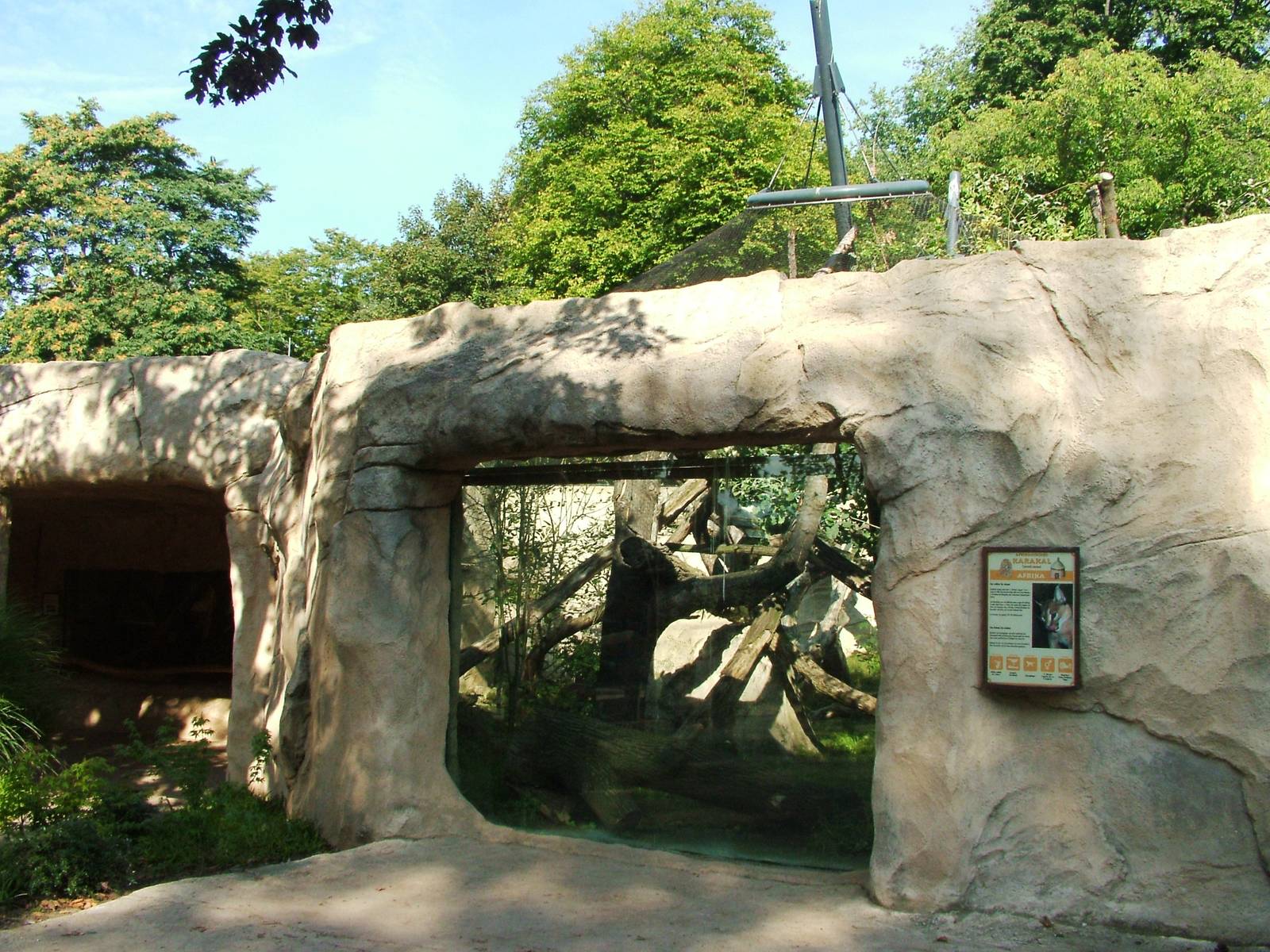 Caracal Exhibit at Dresden, 29/08/12