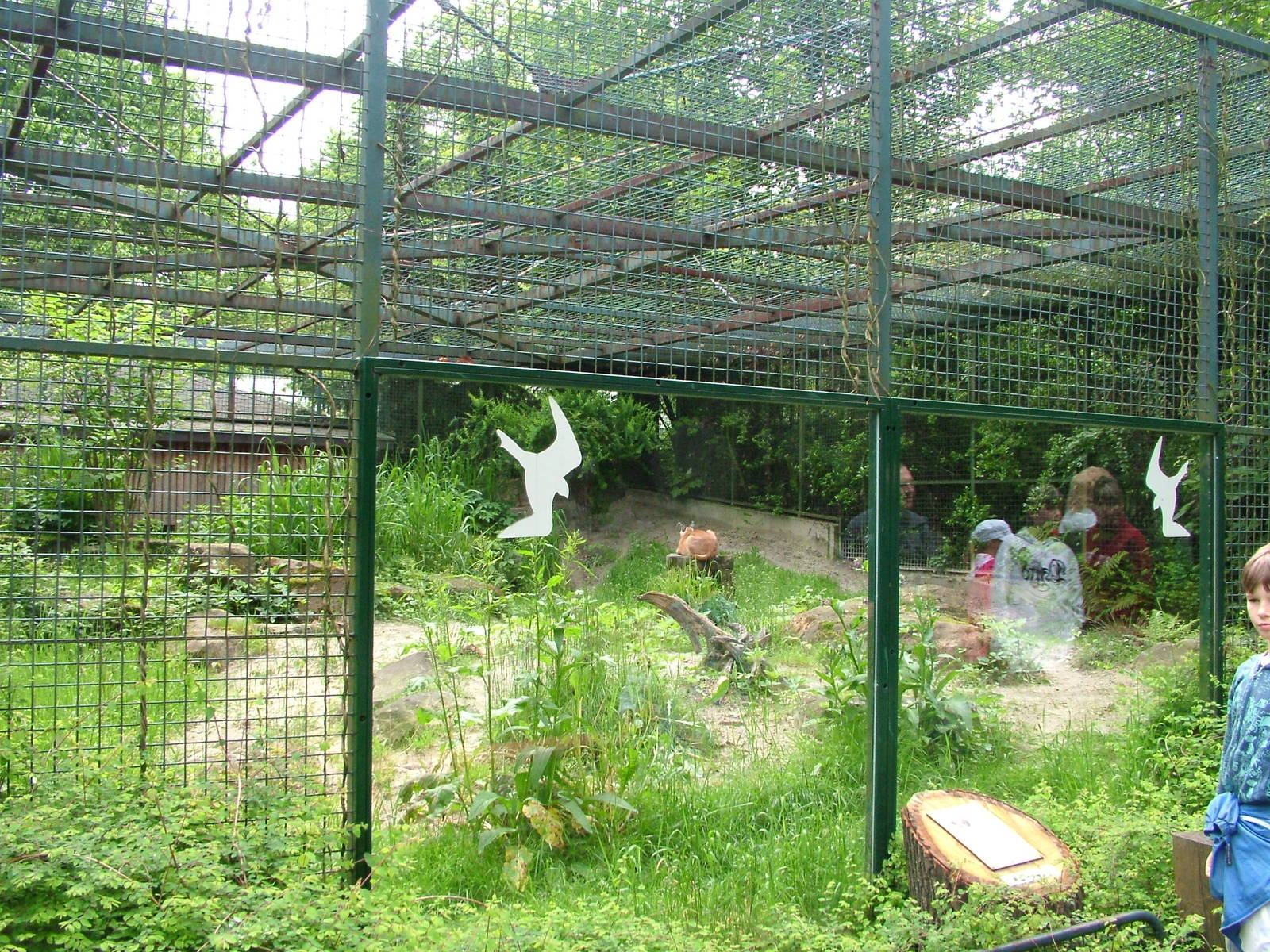 Caracal exhibit at Ostrava, 29/05/10