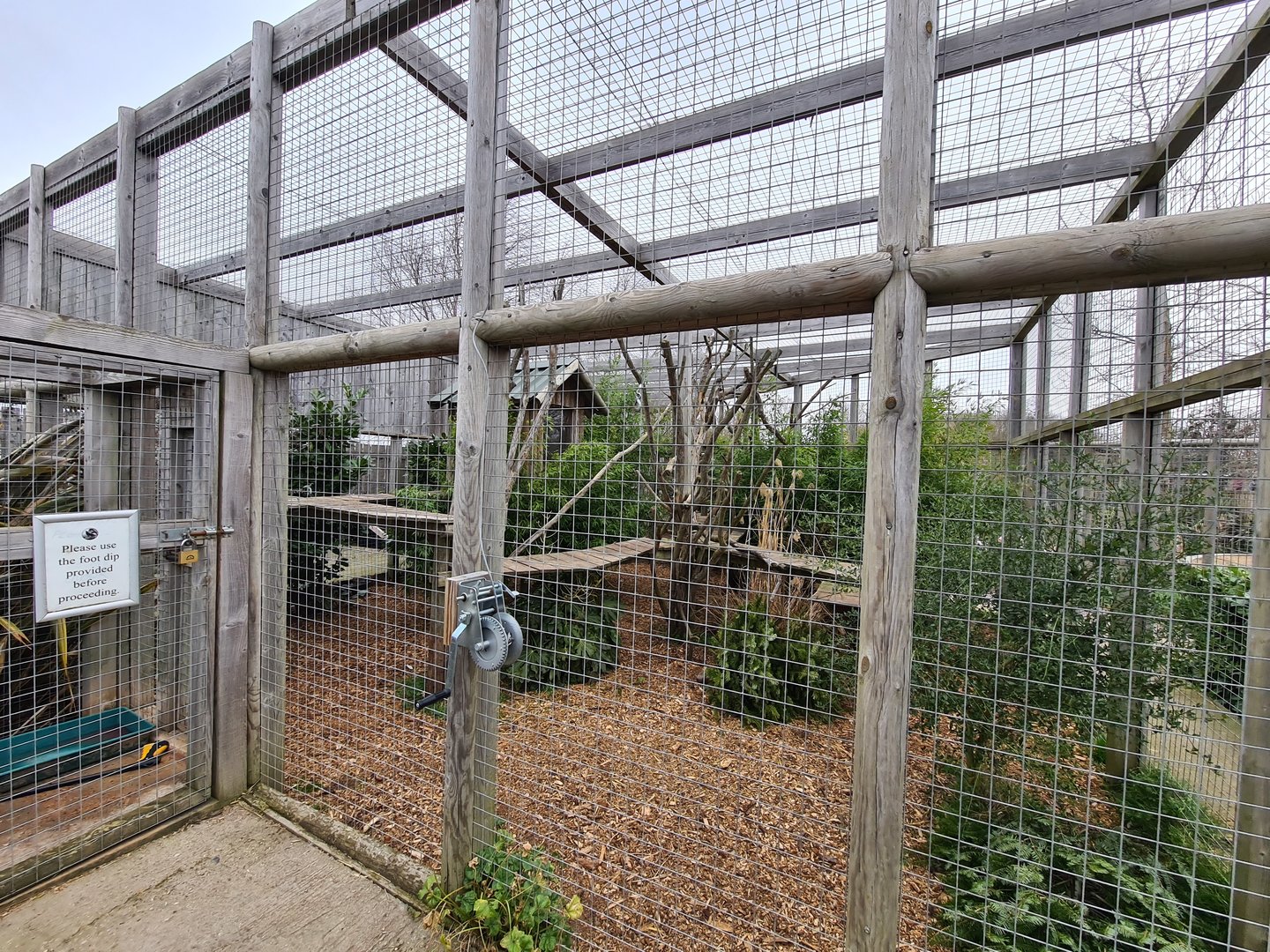 Caracal Exhibit, Fenn Bell
