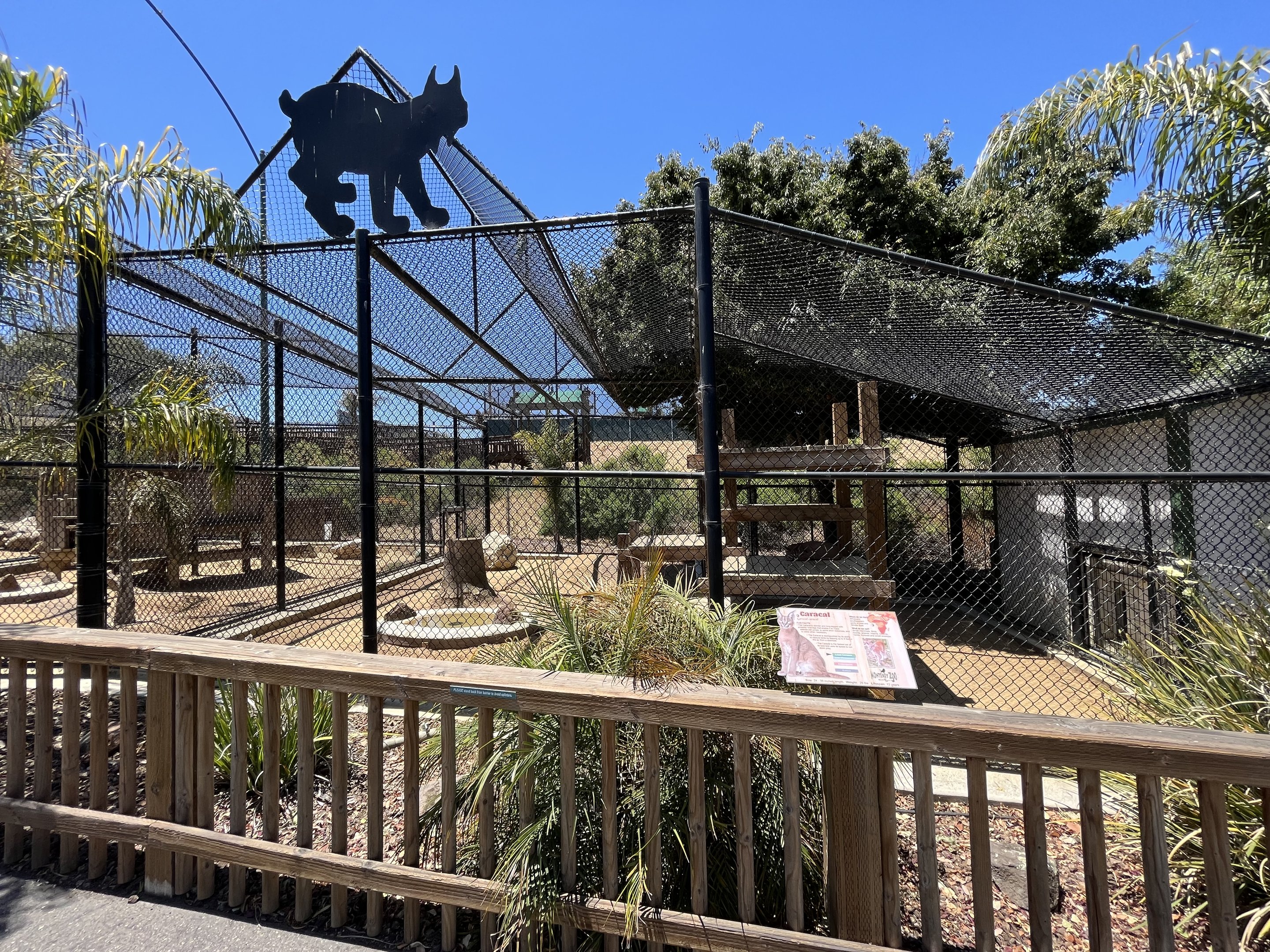 Caracal Exhibit - New