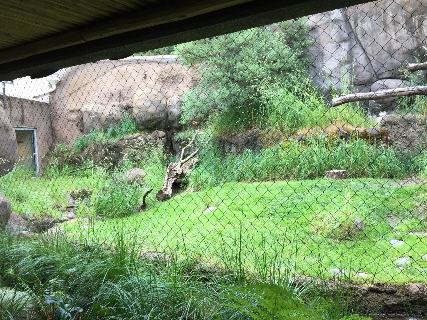 Caracal Exhibit