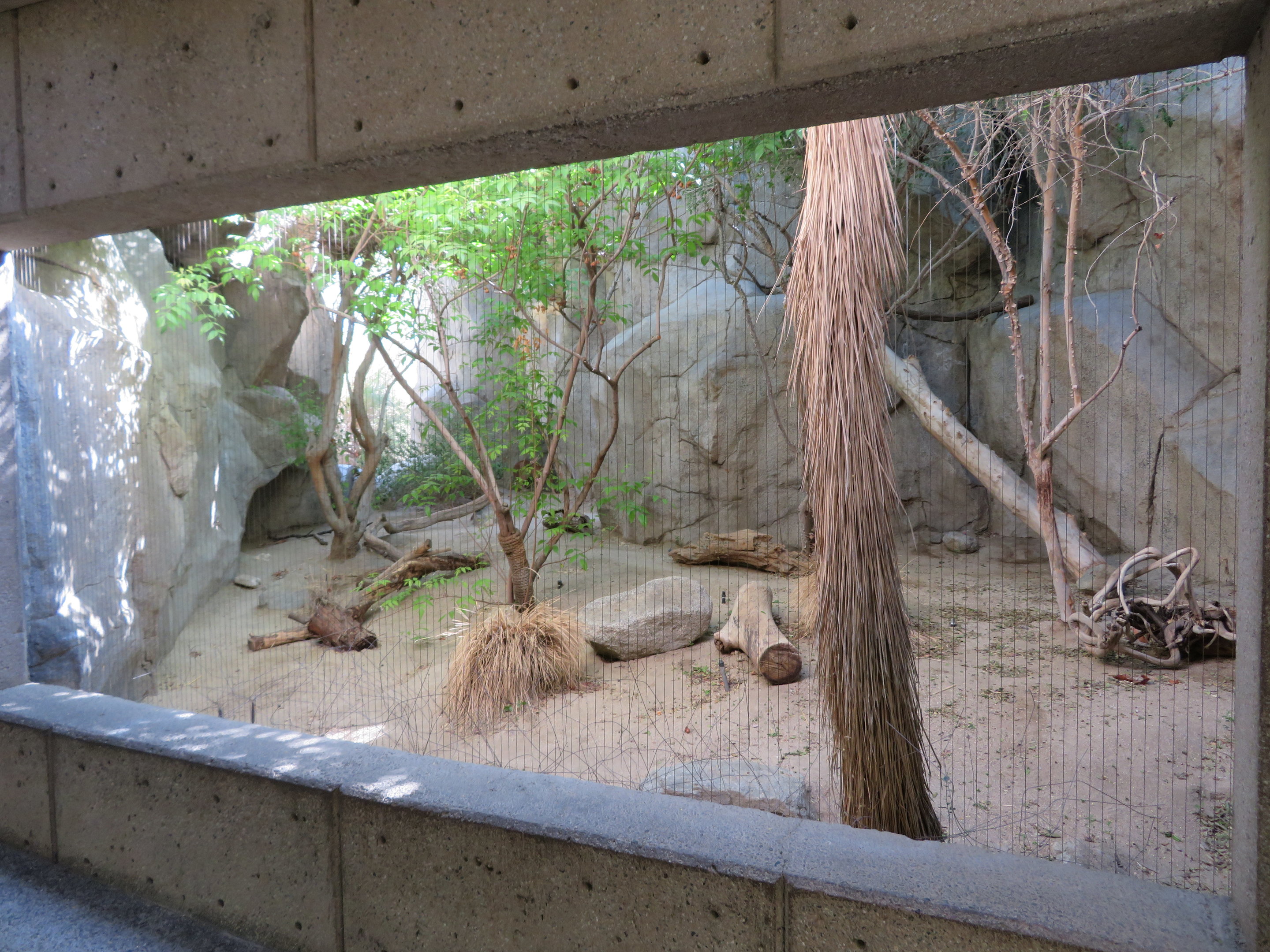 Caracal Exhibit