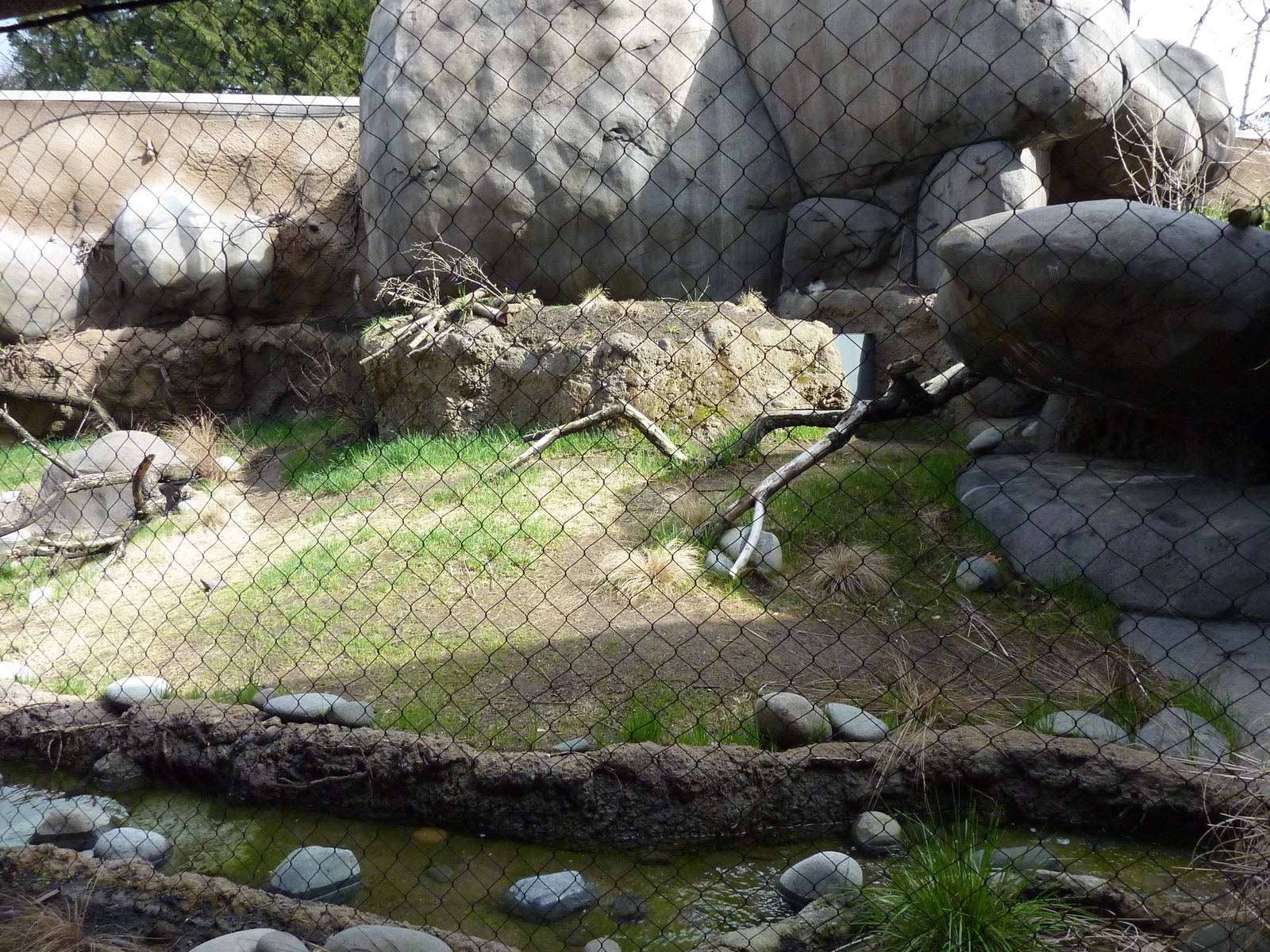 Caracal Exhibit