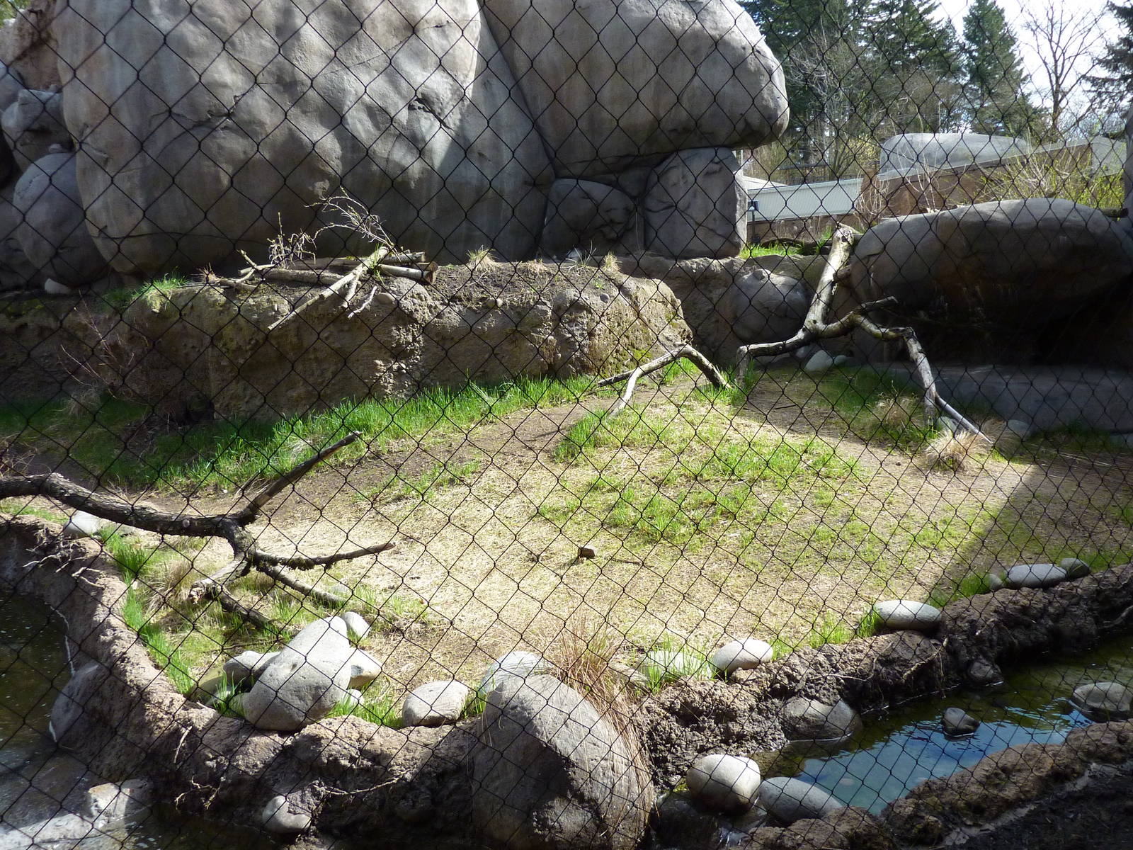 Caracal Exhibit