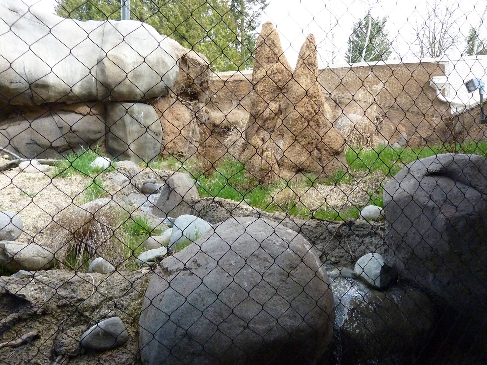 Caracal Exhibit