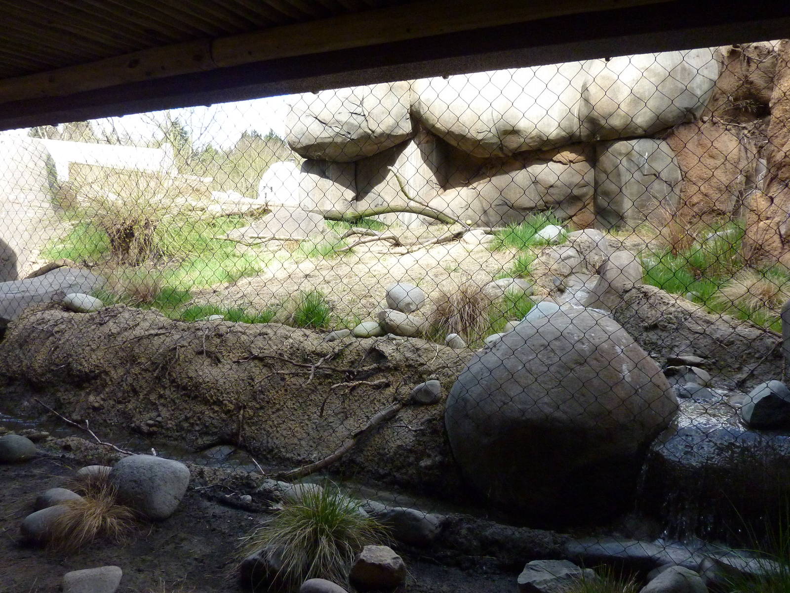 Caracal Exhibit