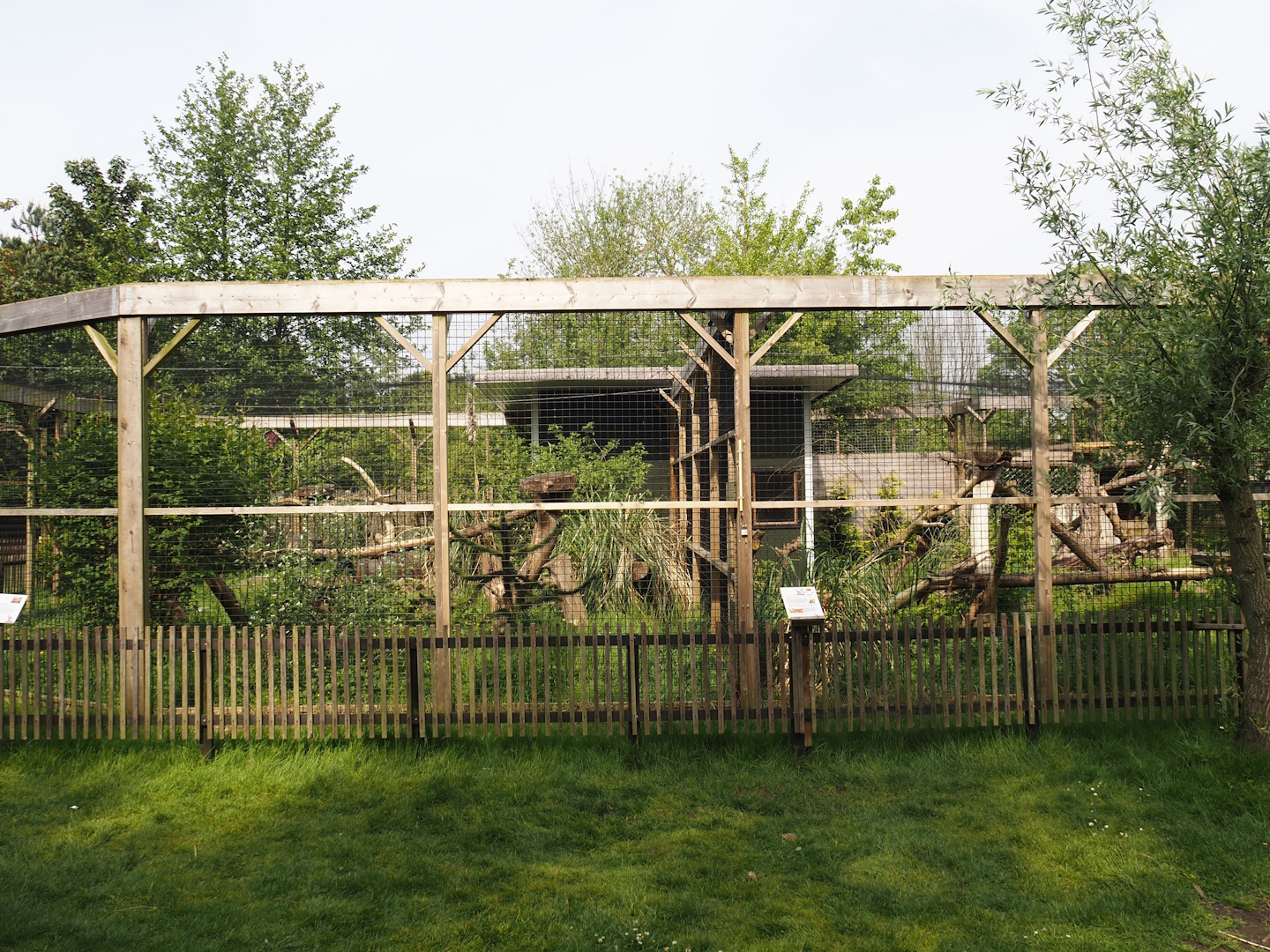 Caracal exhibits, 2024-05-11