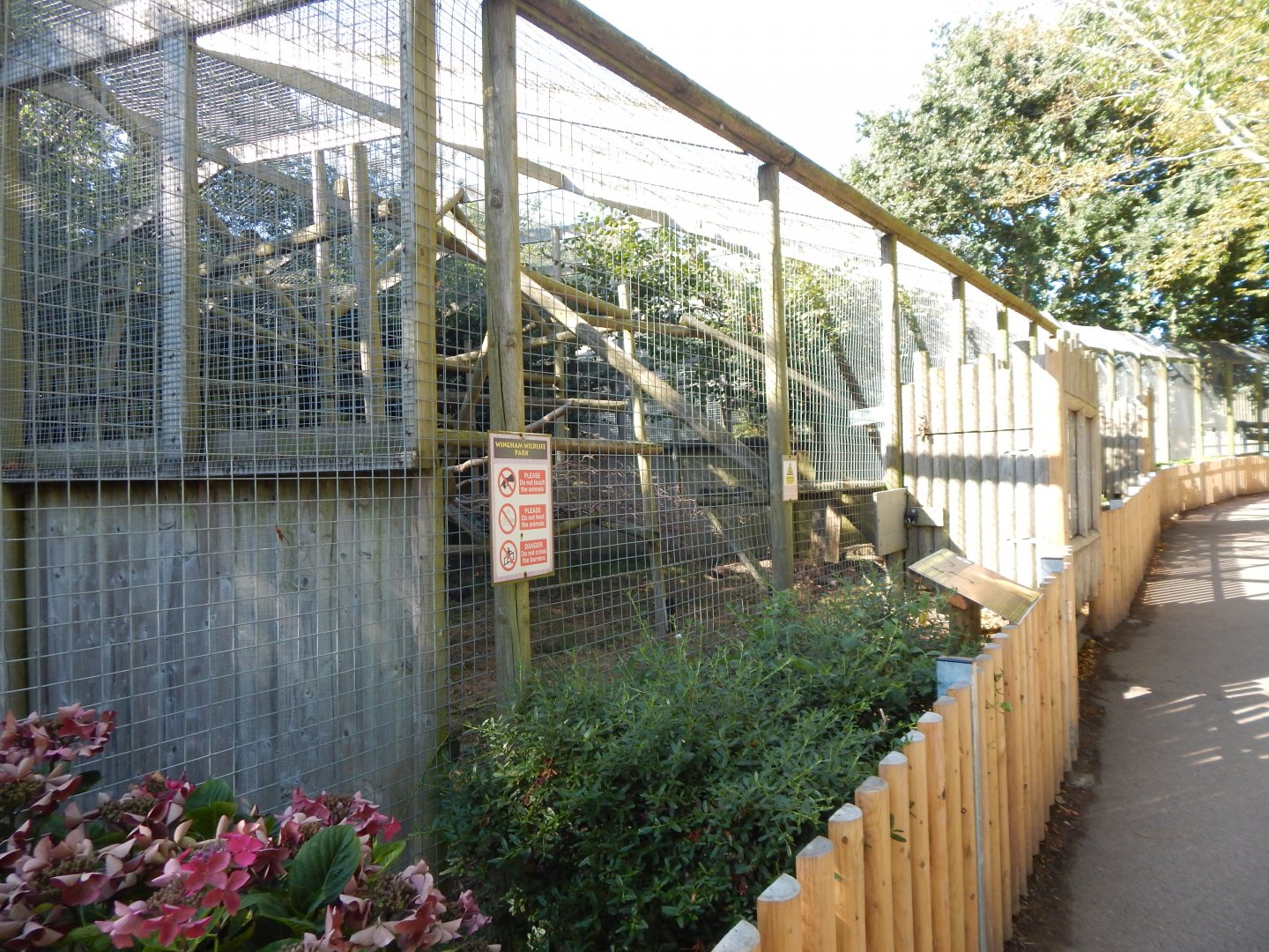 Caracal habitat 030924