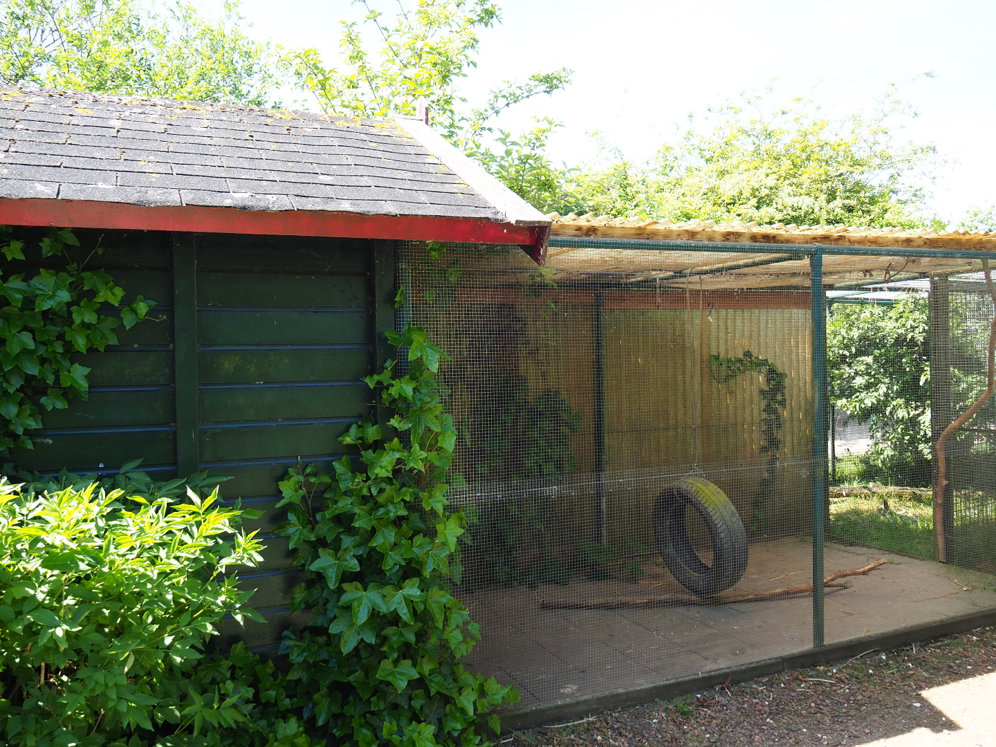 Caracal holding and barn, 2019-06-01