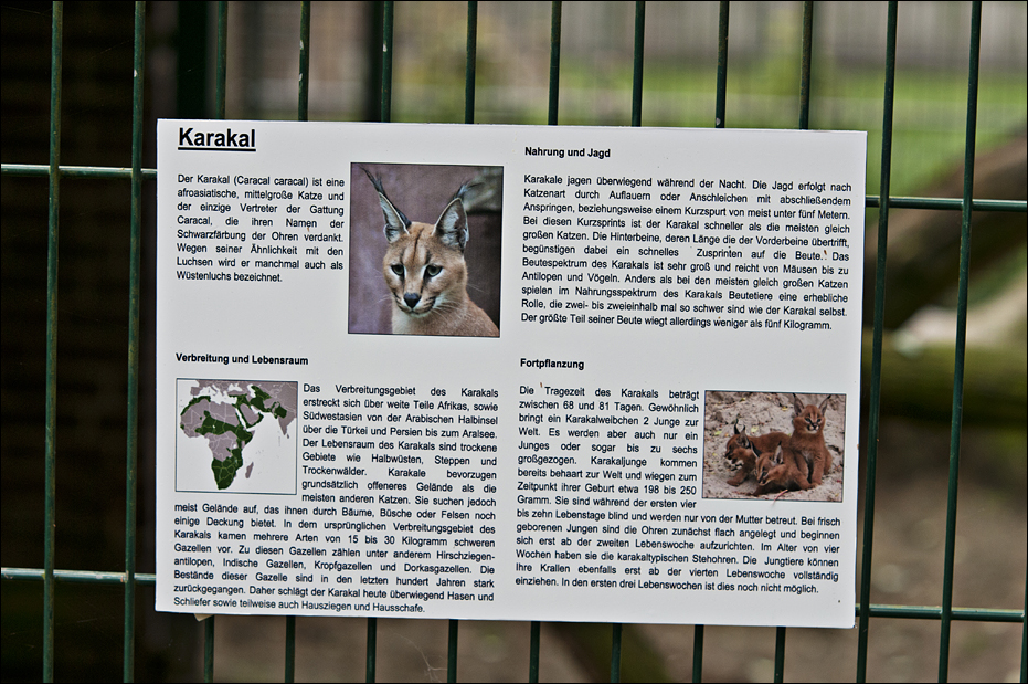 Caracal sign at Thüle