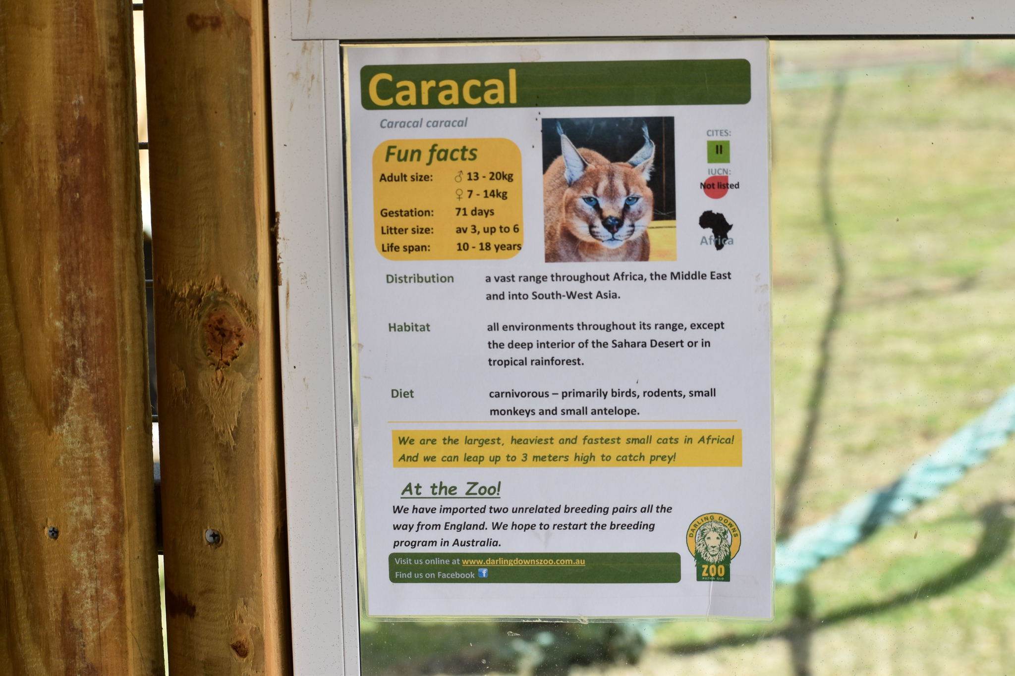 Caracal Sign